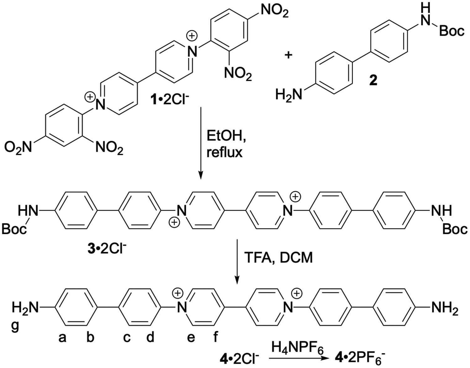 Synthesis of dianiline ligand 4 as its chloride and PF6 salts.