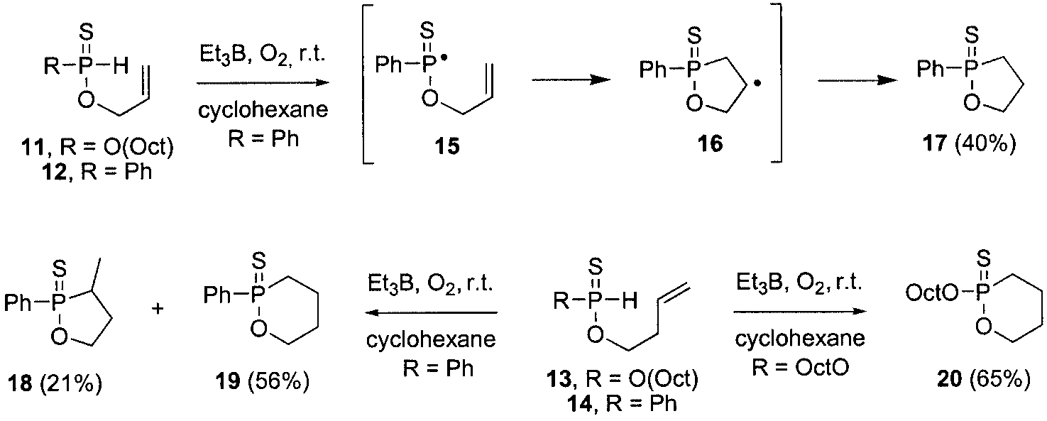 Reactions of unsaturated phosphinothioates with triethylborane.