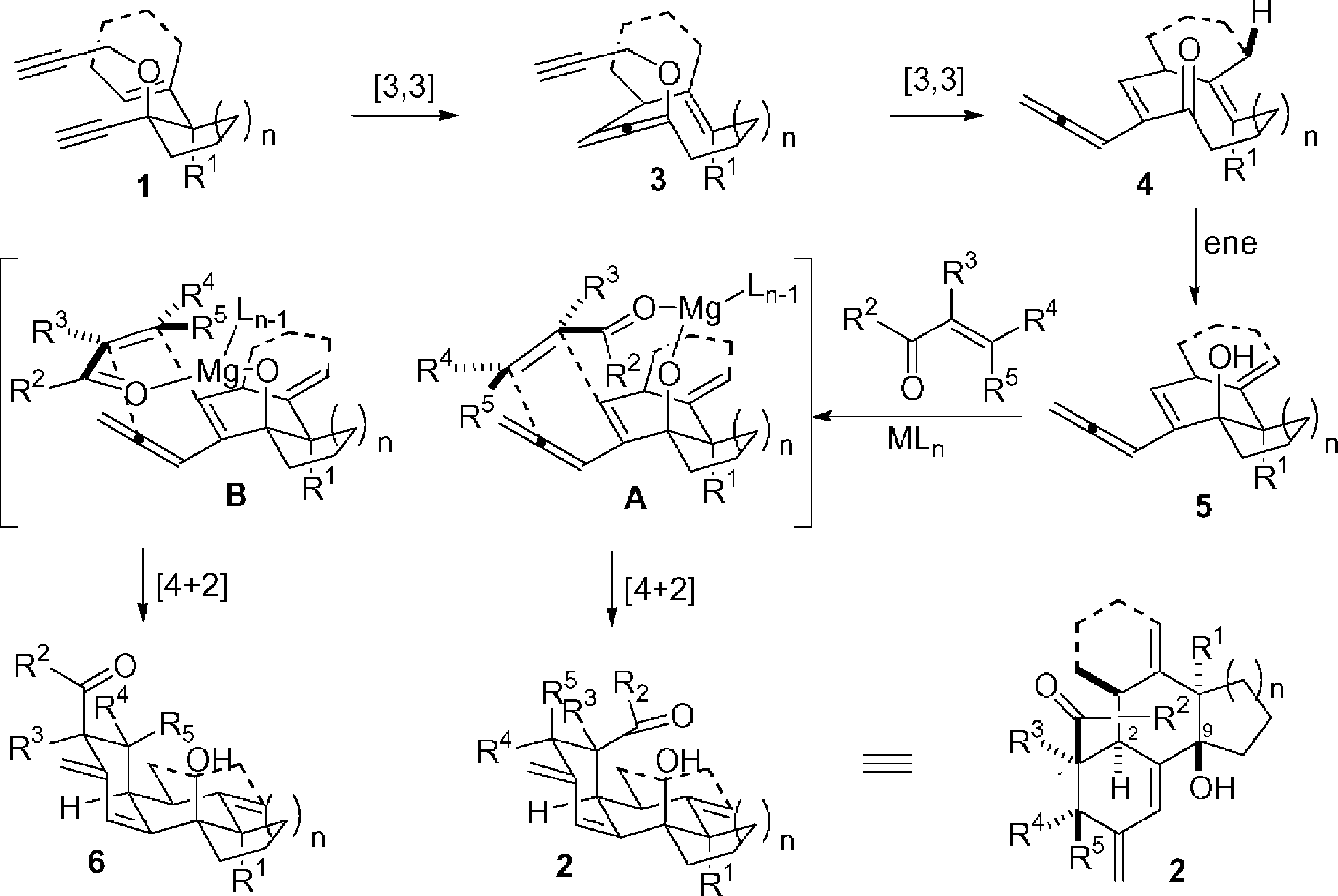 氧-Cope-Claisen-ene-HDDA 反应的拟议机制。