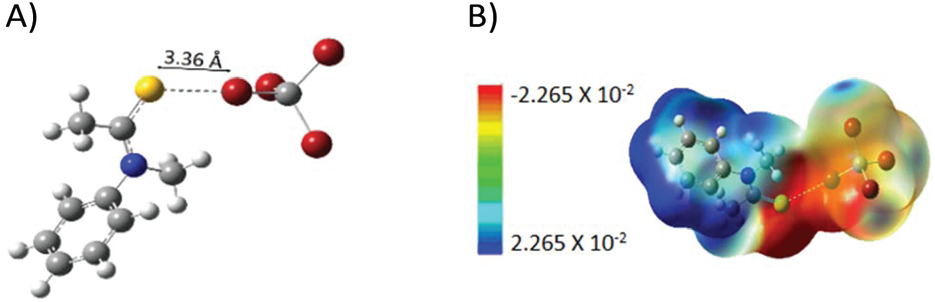 (A) The structure was optimized by DFT under vacuum conditions using the ωB97X-D function, 6-311G(d,p) for C,H, 6-311+G(d,p) for N,S, and Def2TZV for Br. (B) The electrostatic potentials of N-methylthioamide and tetrabromomethane were calculated on a 0.0004 au isodensity surface (ωB97X-D/Def2TZV) (red = negative electrostatic potential, blue = positive electrostatic potential).