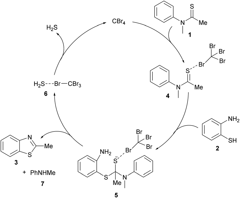 Rational mechanistic pathway for the synthesis of benzothiazole