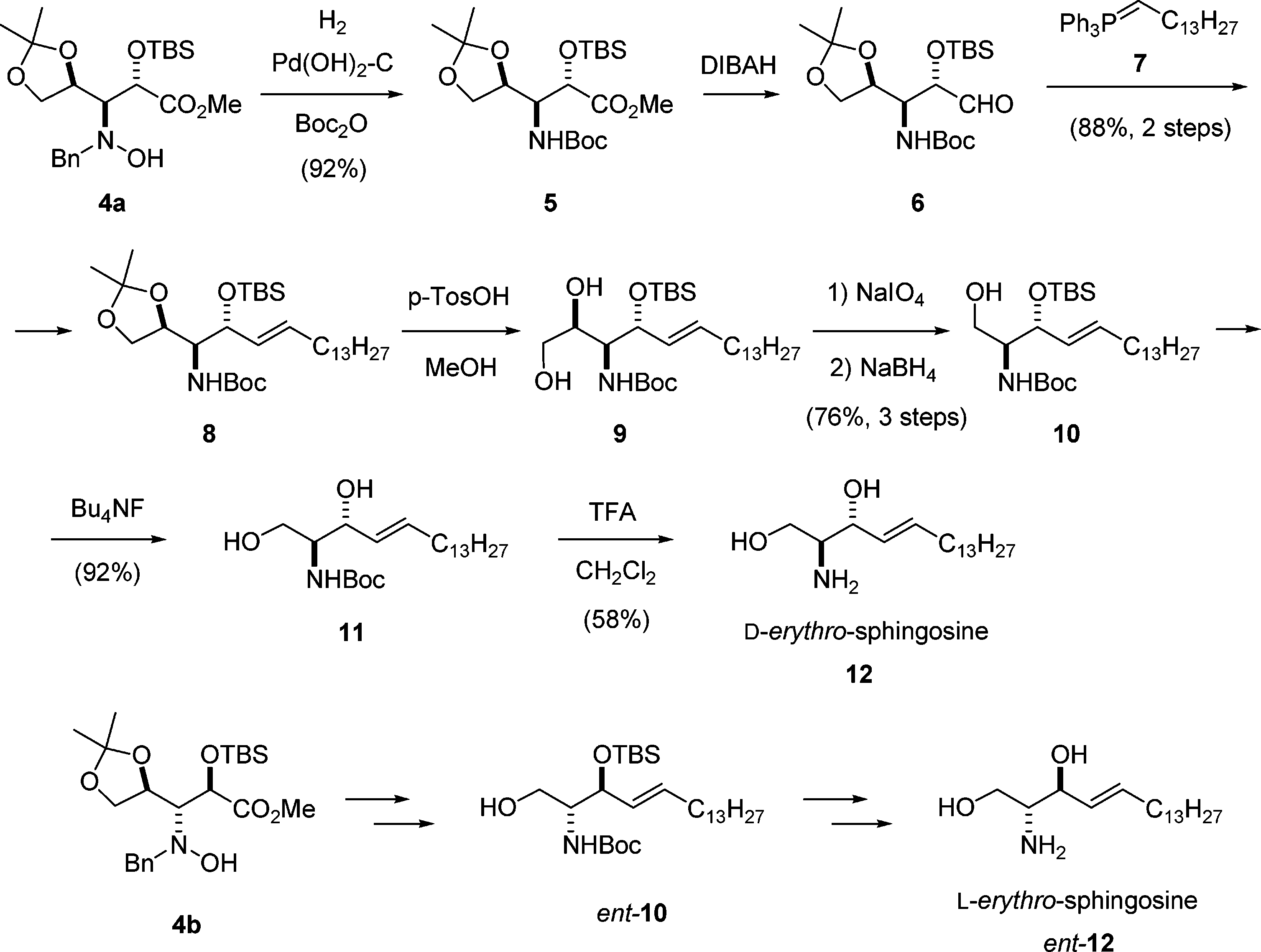 Synthesis of Sphingosines