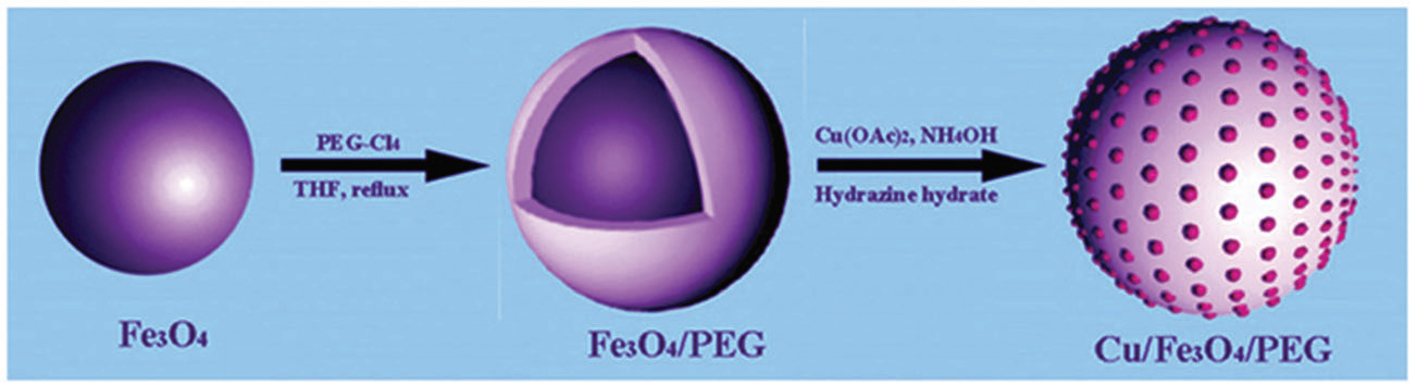 Synthesis of Cu nanoparticles supported on Fe3O4–PEG nanocomposites.