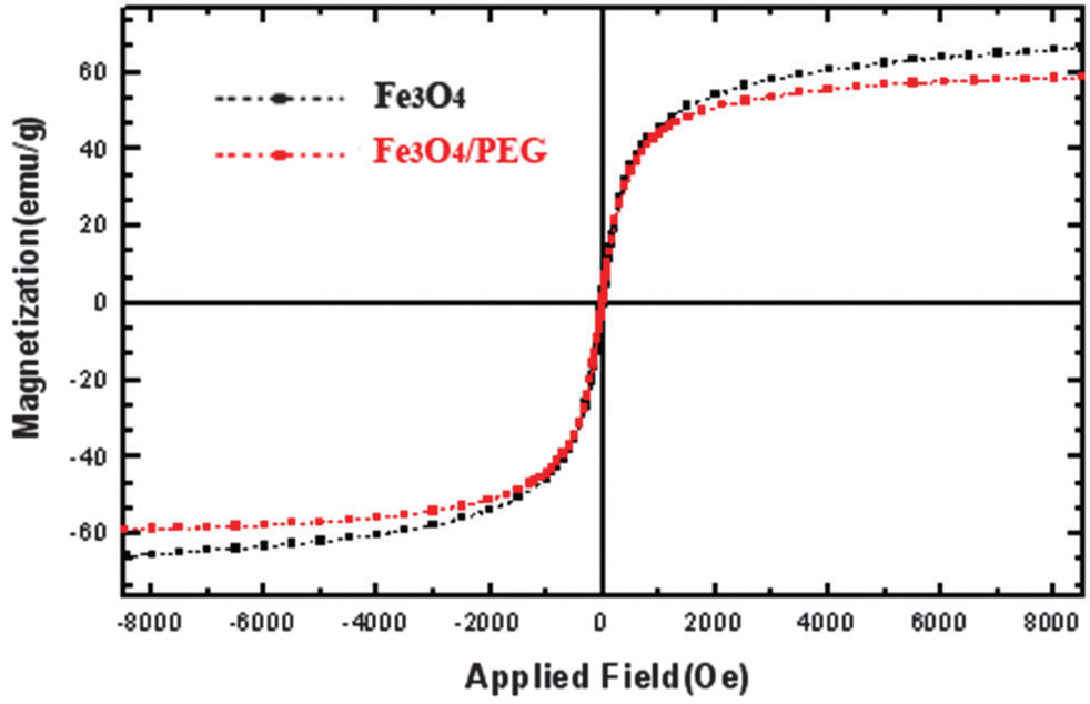 Magnetization curves obtained by VSM at room temperature of Fe3O4 MNPs and Fe3O4 MNPs coated by PEG.