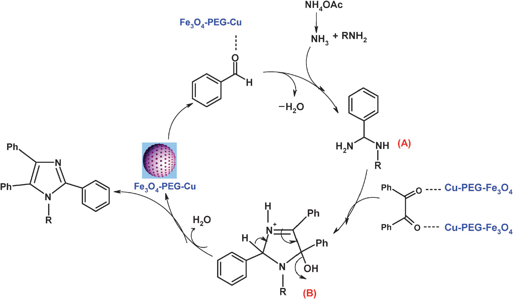 Proposed mechanism for the formation of 1,2,4,5-tetrasubstituted/2,4,5-trisubstituted imidazoles from benzil, aldehydes, NH4OAc, and amine in the presence of Fe3O4–PEG–Cu.