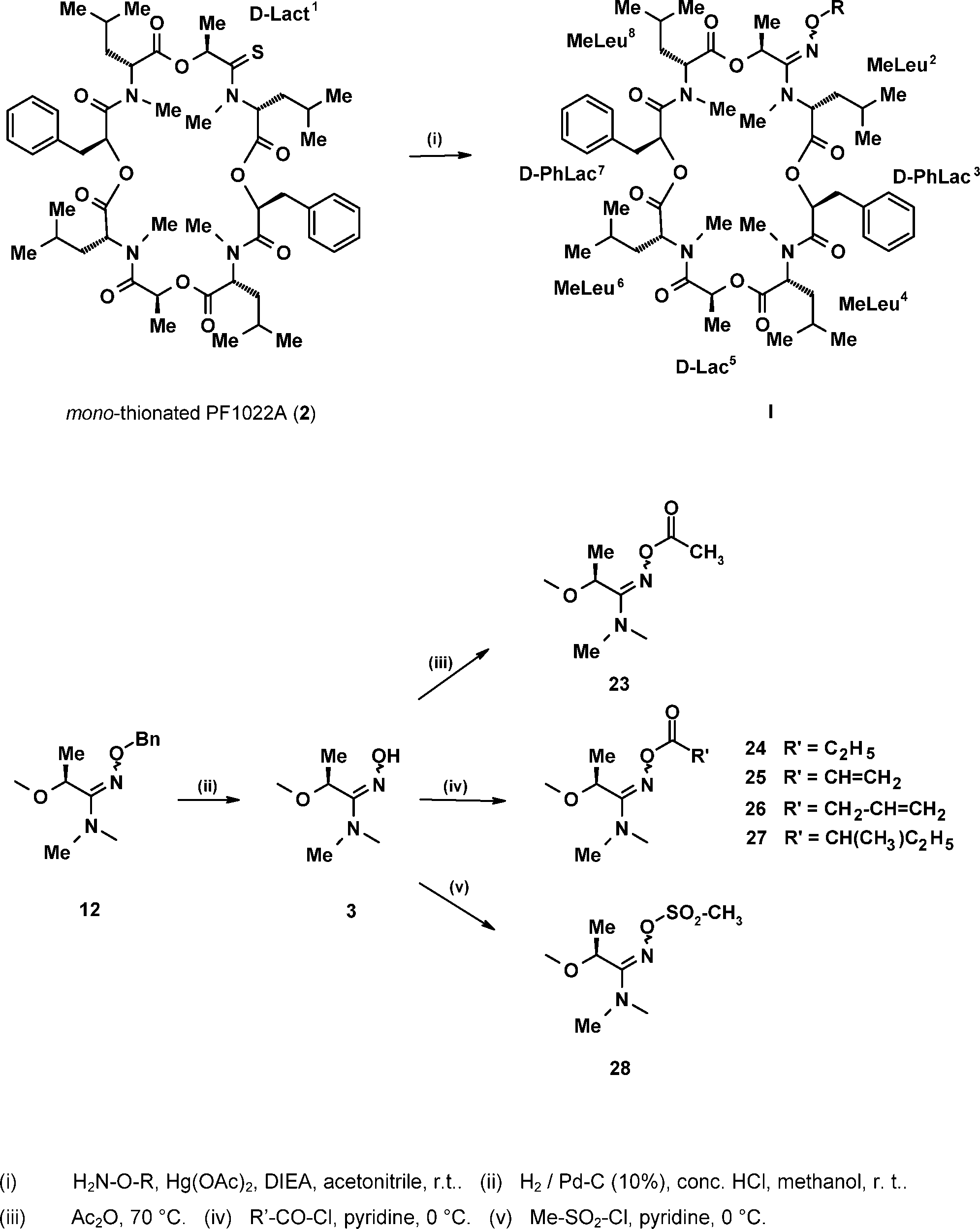 Synthetic routes to the novel N-methylated amidoxime analogues of PF1022A (I).