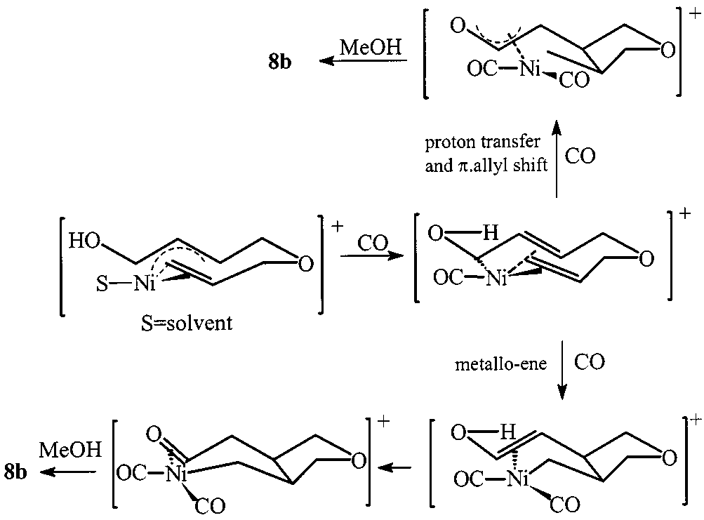 Two plausible paths for the formation of tetrahydrofuran.