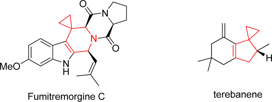 Natural products containing spirocyclopropane unit.