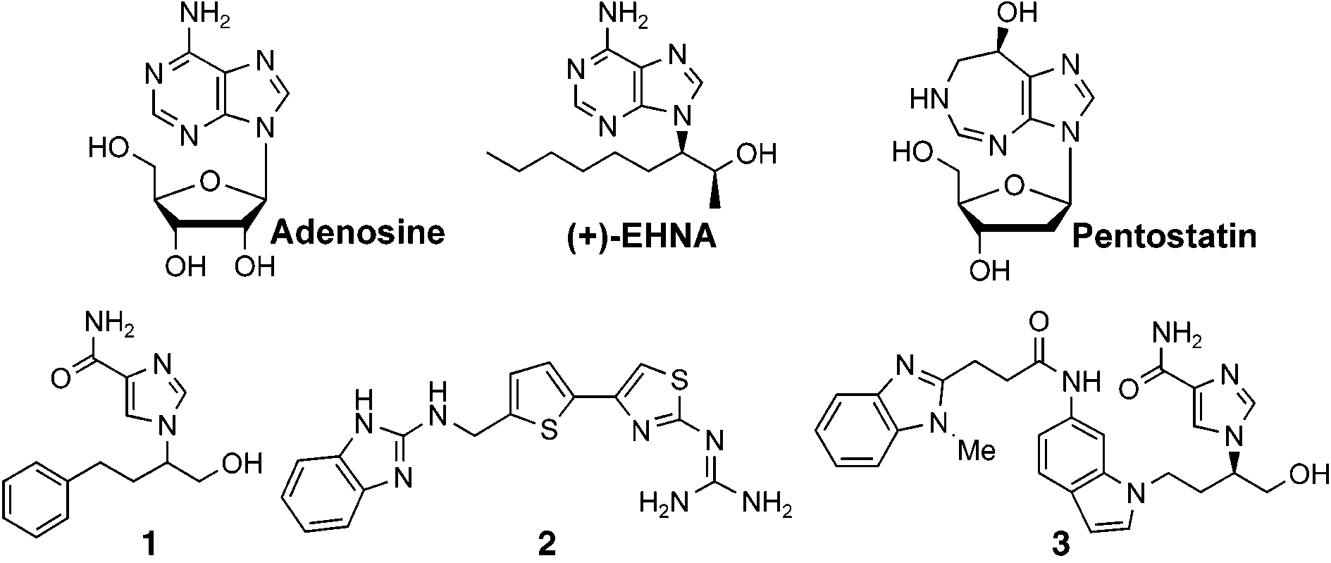 Chemical structures of adenosine and known ADA inhibitors.