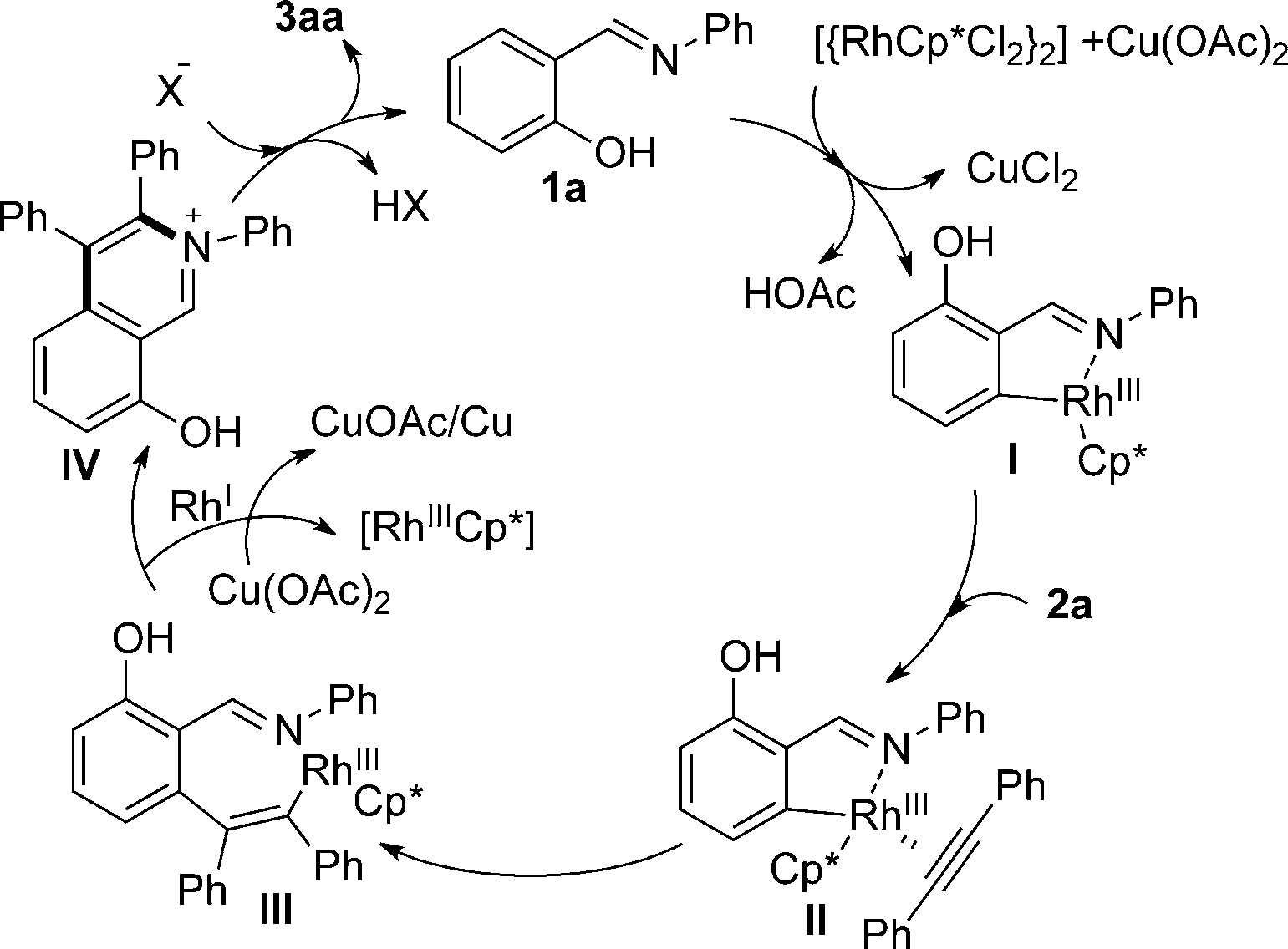 Plausible mechanism. 