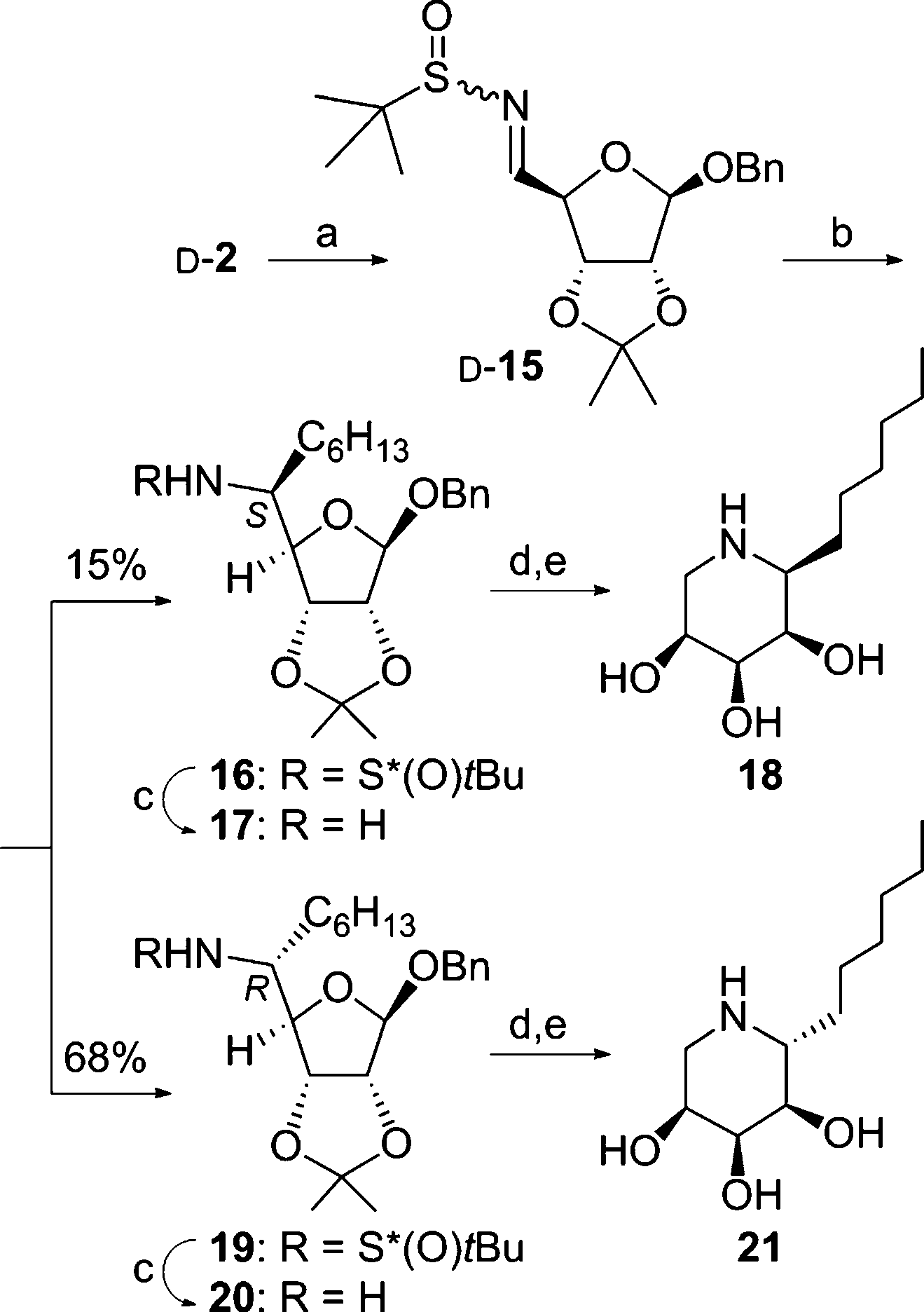 Synthesis of 1-C-hexyl imino-l-ribitols.