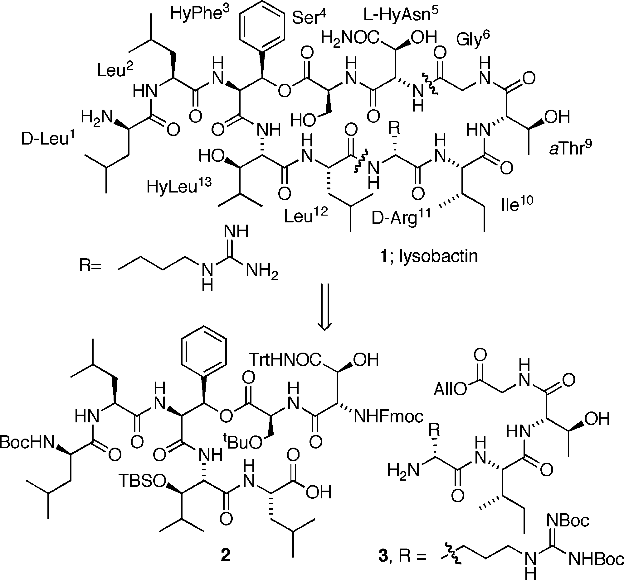 Structure and retrosynthetic analysis of lysobactin.
