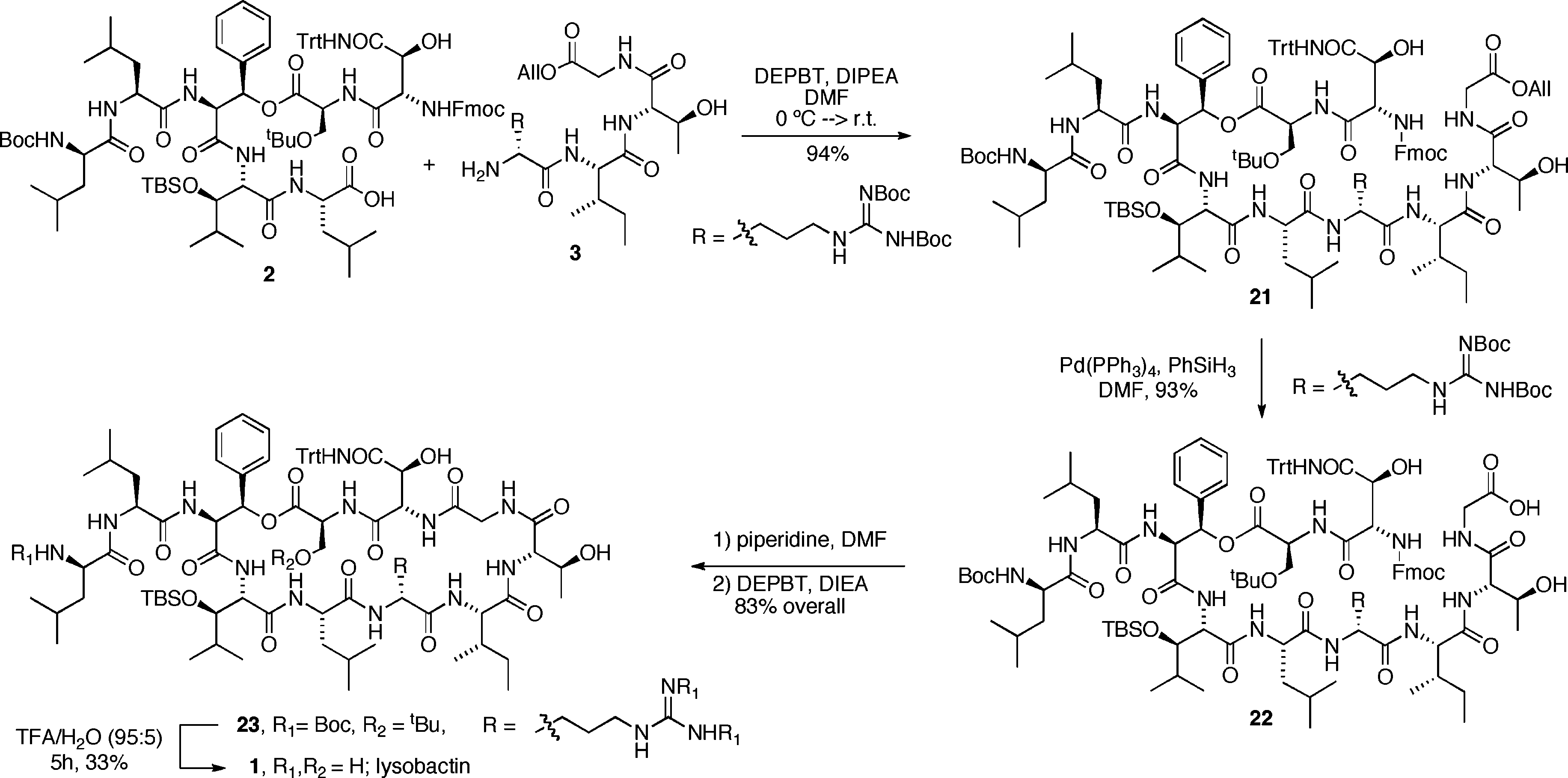 Final Assembly of Lysobactin