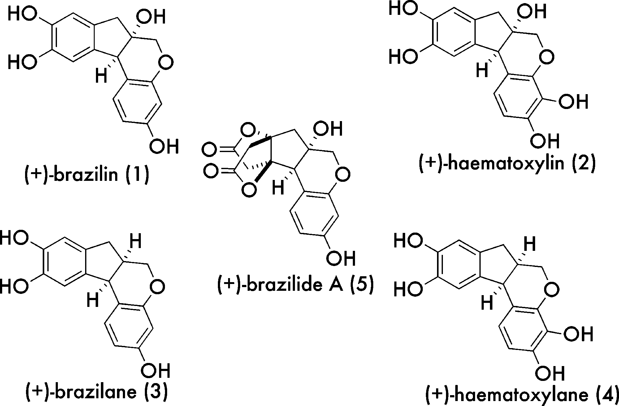 Brazilin family of natural products: (+)-Hematoxylin, (+)-Brazilane, (+)-Brazilide A, (+)-haematoxylane.