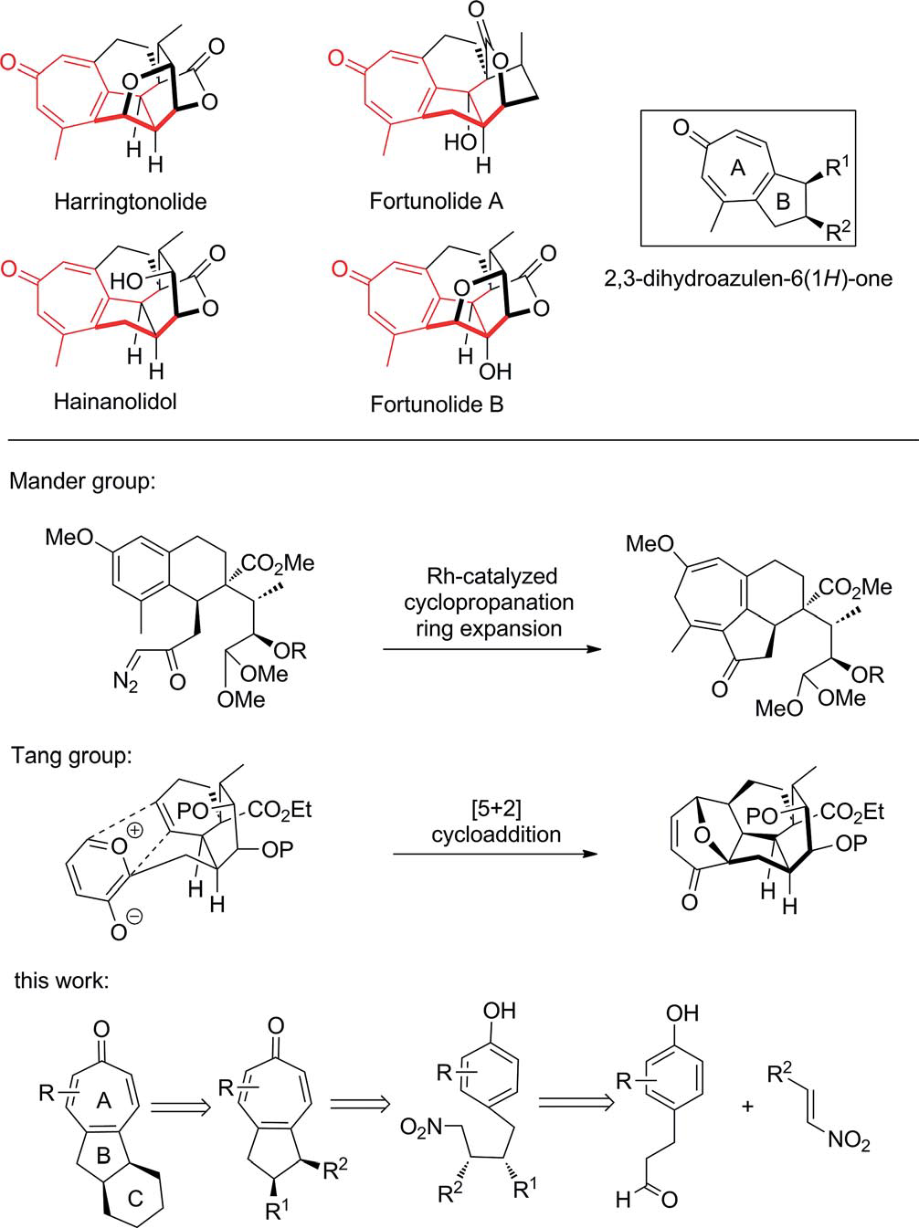 Cephalotaxus norditerpenes and strategies to the core structure: Harringtonolide, Fortunolide A, Fortunolide B, Hainanolide.