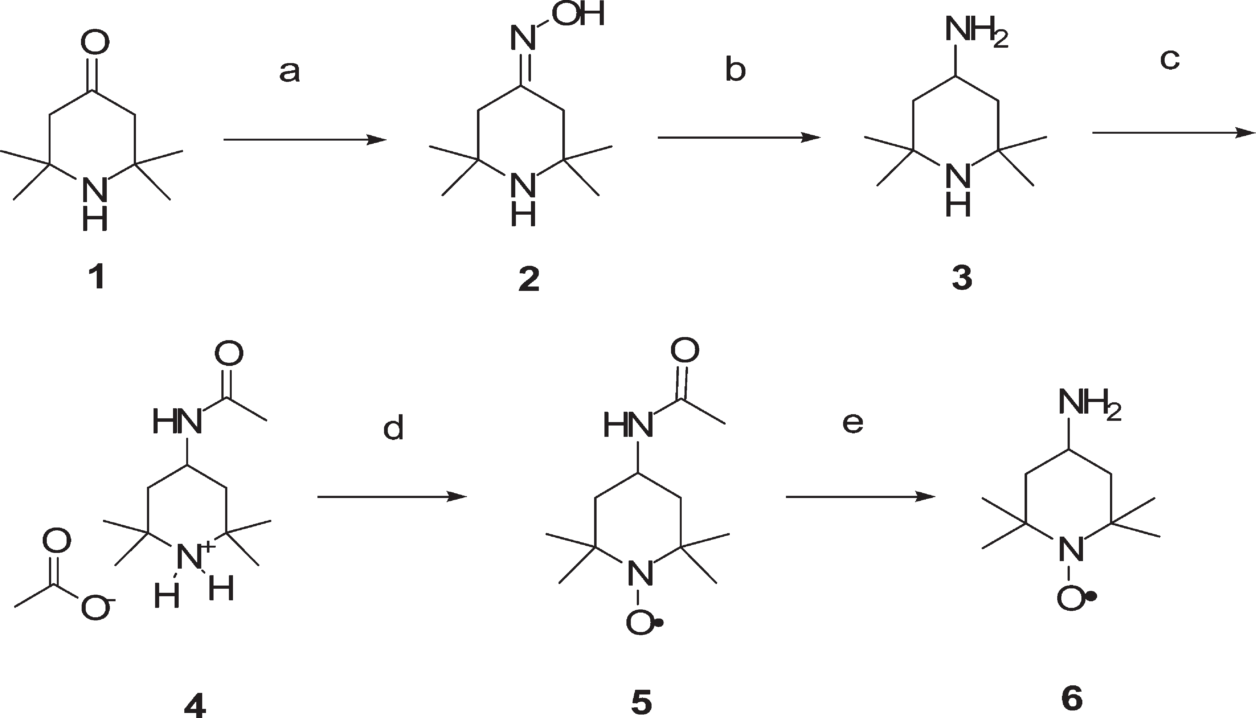 Synthesis Procedure for the Preparation of the 4-Amino-2,2,6,6-tetramethylpiperidin-1-oxyl Probe