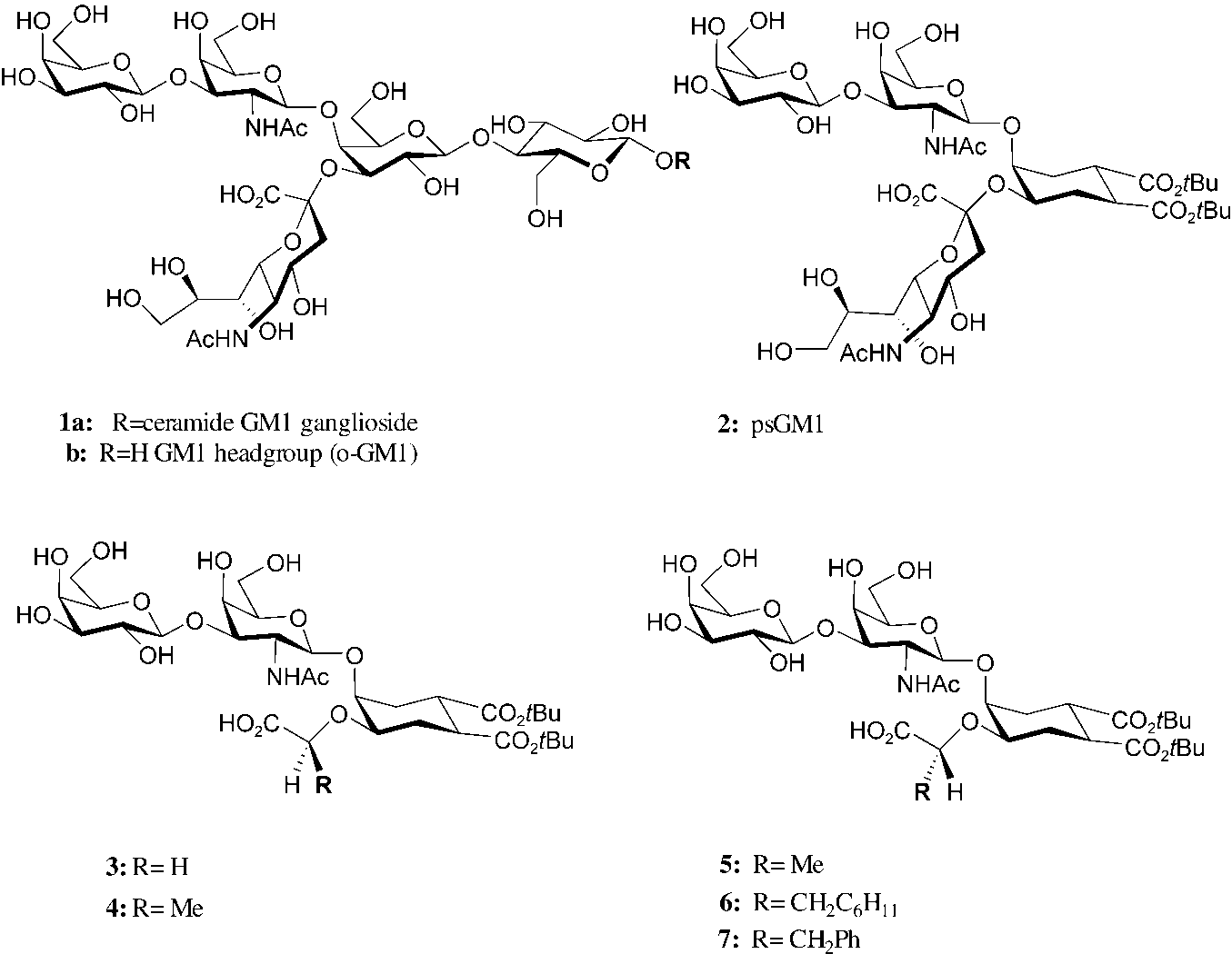 Ganglioside Gm1 and its mimics.