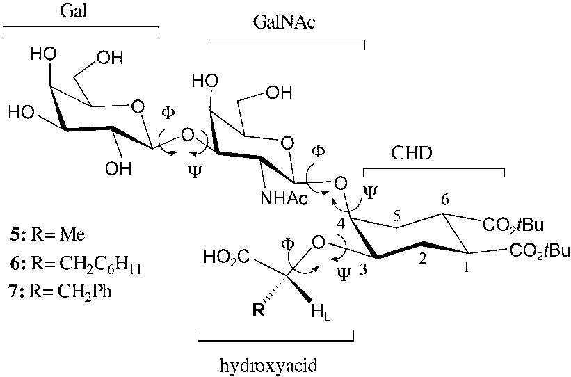 Gm1 mimics nomenclature, abbreviations, and definitions. Gal=galactose, GalNAc=N-acetyl galactosamine, CHD=cyclohexanediol, HL =H-L in the text and other figures.