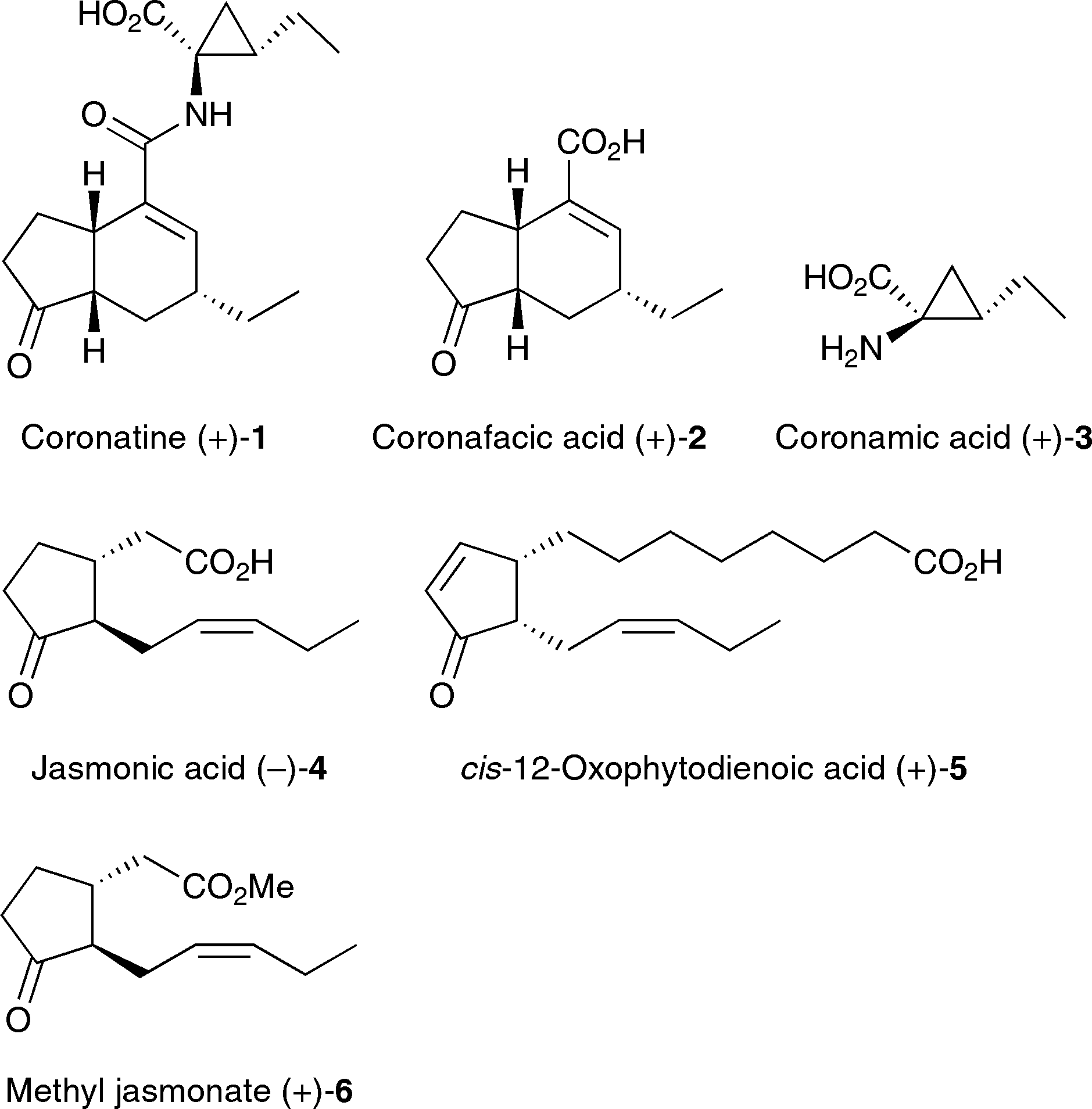 Structures of coronatine (+)-1, jasmonic acid (-)-4, and their derivatives.