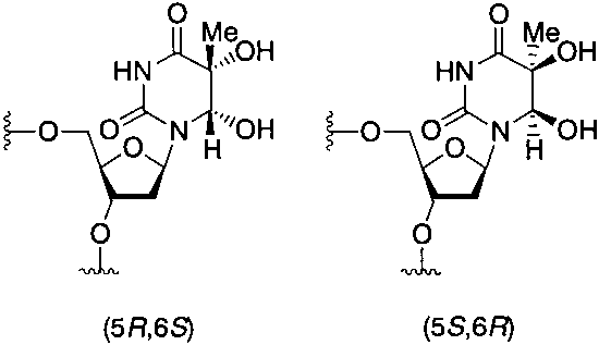 Structures of the two isomers of thymine glycol.