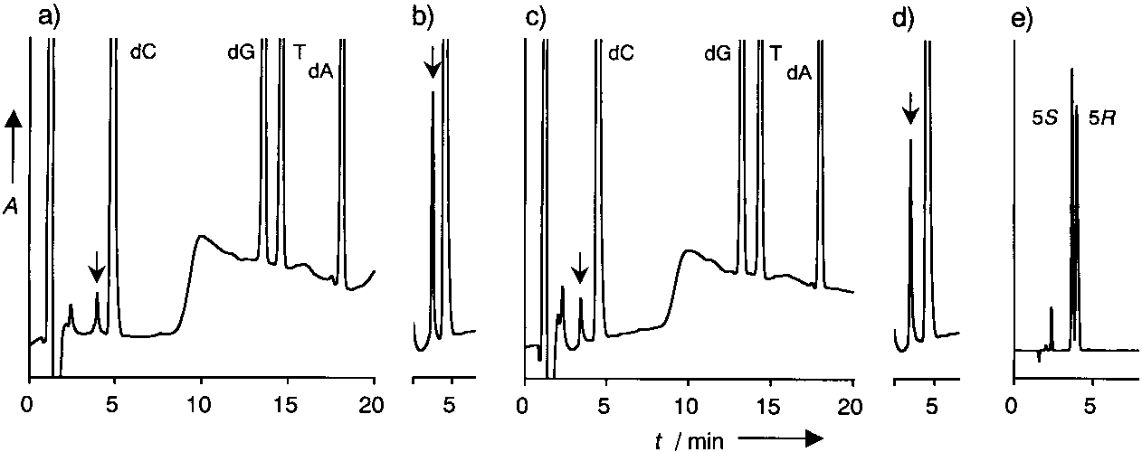 Detection of thymidine glycol after enzyme digestion.