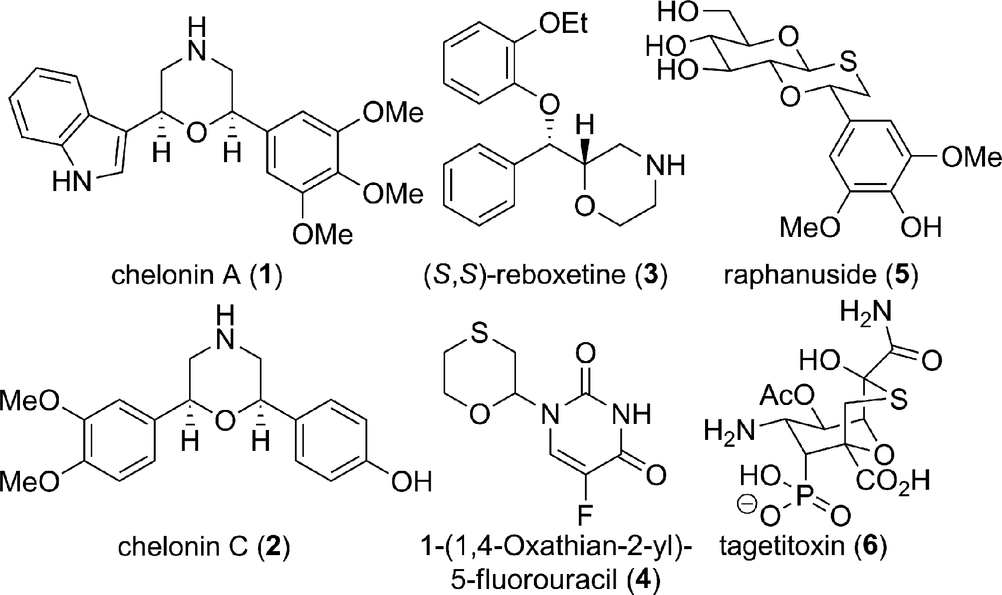 Morpholines and 1,4-oxathiane ring bearing natural products and bioactive molecules.