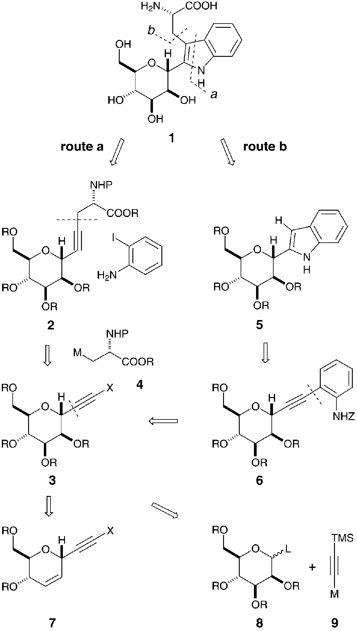 Synthetic plan of α-C-glycosyltryptophan exemplified by C-man-Trp (1).