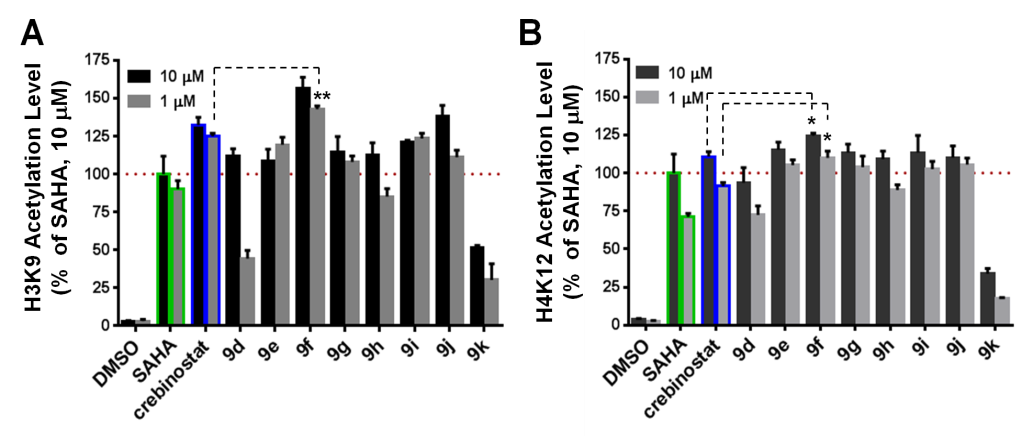 Crebinostat analogs induce histone H3K9 and H4K12 acetylation in mouse forebrain primary neuronal cultures.