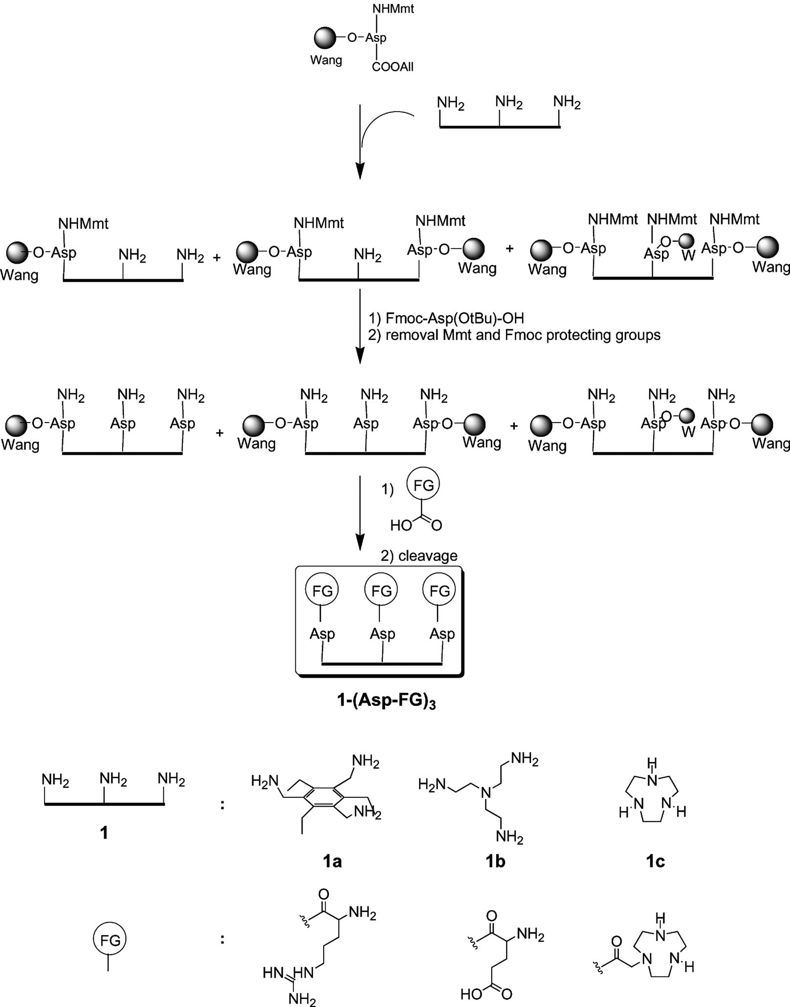 Schematic presentation of the protocol for the synthesis of compounds 1-(Asp-FG)3 on Wang resin