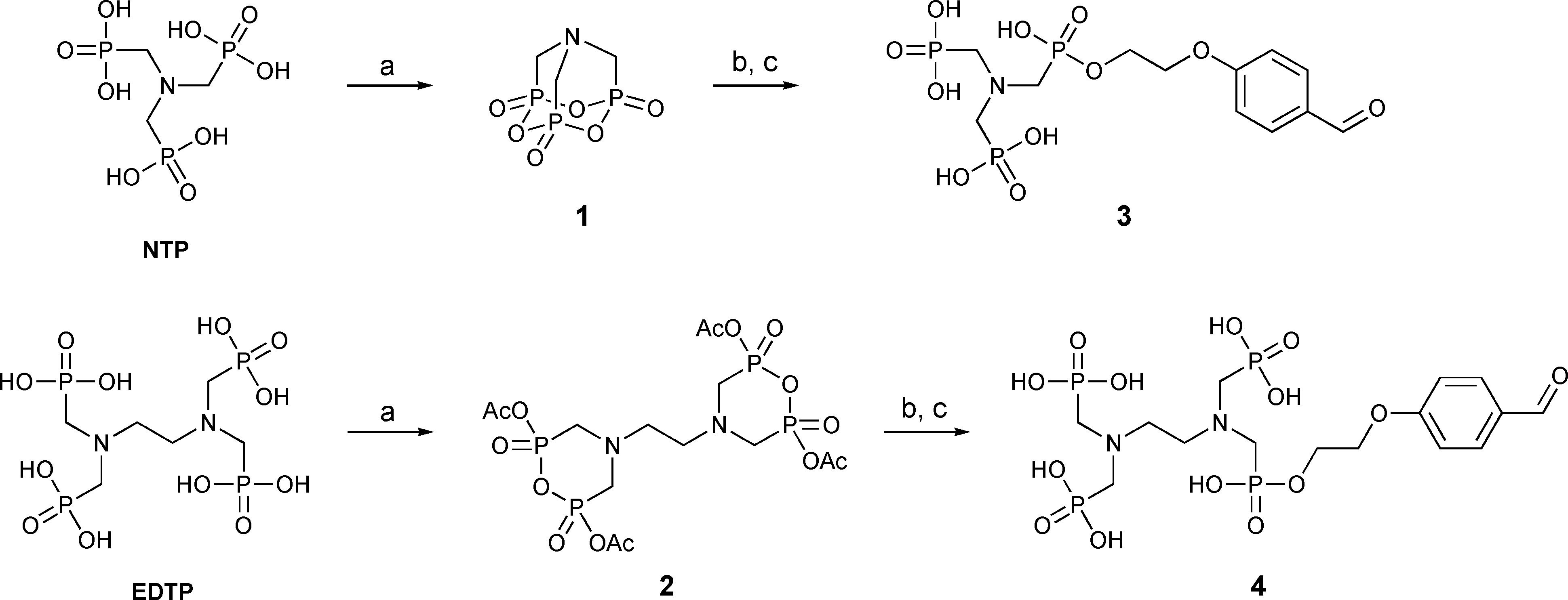 Preparation of the multiphosphonate building blocks 3 and 4. Reagents and conditions: a) acetic anhydride, DMF, b) 4-(2-hydroxyethoxy)-benzaldehyde, DMSO, c) water, DMSO.