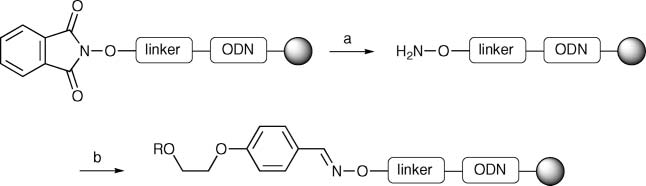 Coupling of the support-bound aminooxy-functionalized oligonucleotides with the phosphonate building blocks 3 and 4.