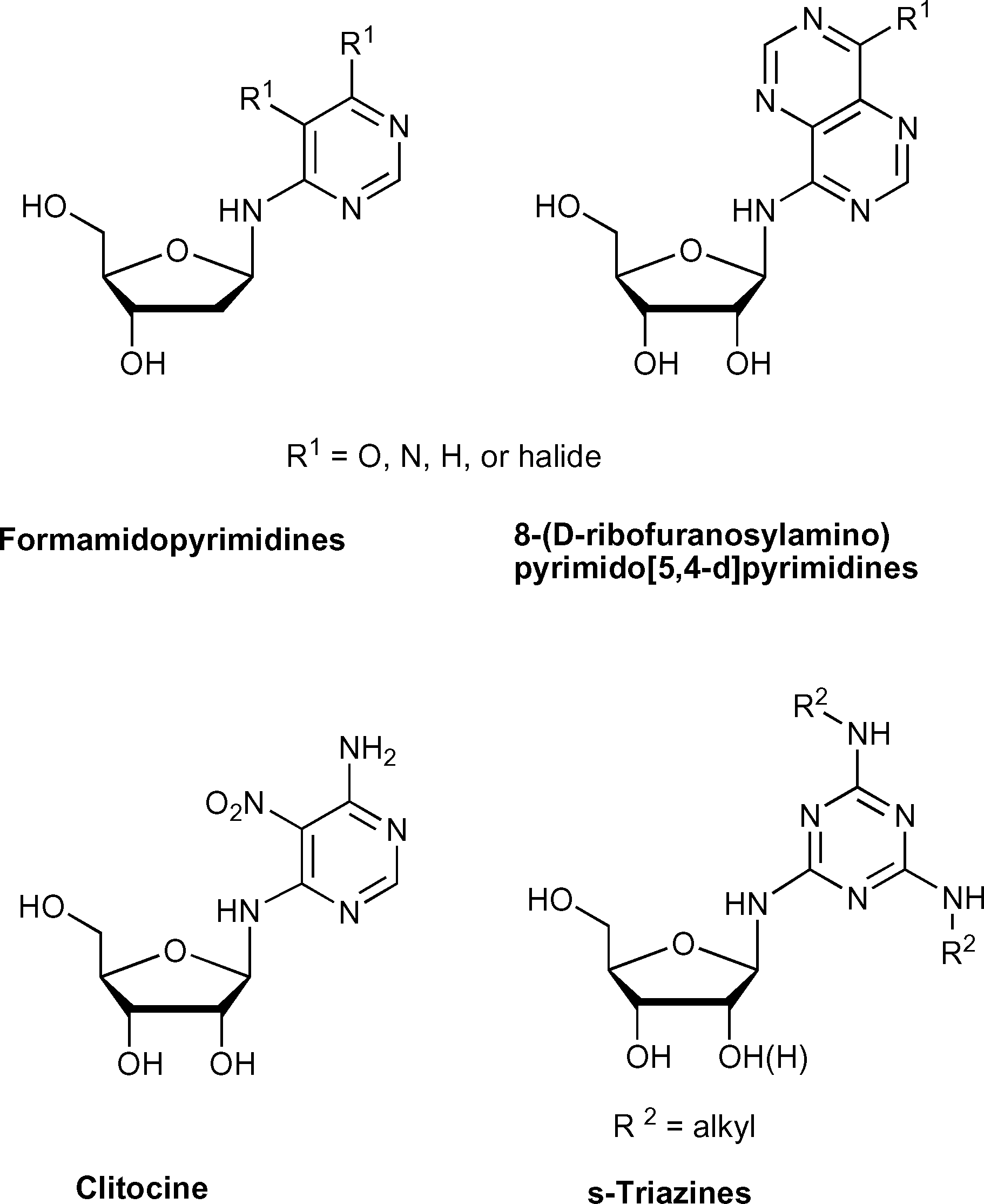 Exocyclic amino nucleosides: Clitocine, s-triazines. 