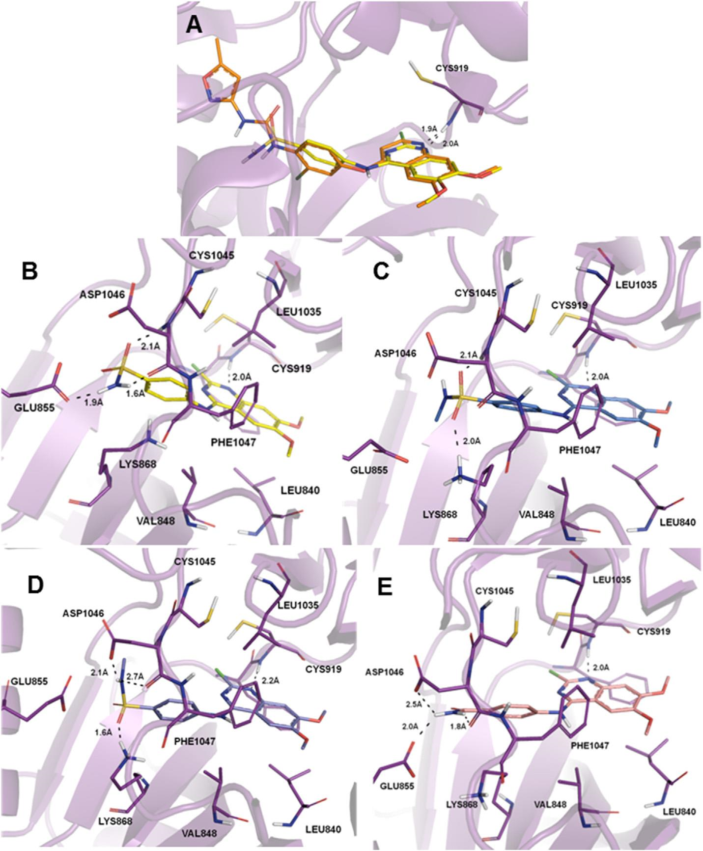 (A) Superposition of 8g (yellow) with tivozanib (6, orange) inside the VEGFR-2 tyrosine kinase ATP binding site. (B) Binding interactions of 8g (yellow) with VEGFR-2. (C) Binding interactions of 8k (blue) with VEGFR-2 showing the best score value (Score: 71.82). (D) Binding interactions of 8k (blue) with VEGFR-2 showing the possibility of a hydrogen bond with the sulfonamide eNHe as a donor (Score: 69.29). (E) Binding interactions of 8o (light pink) with VEGFR-2.
