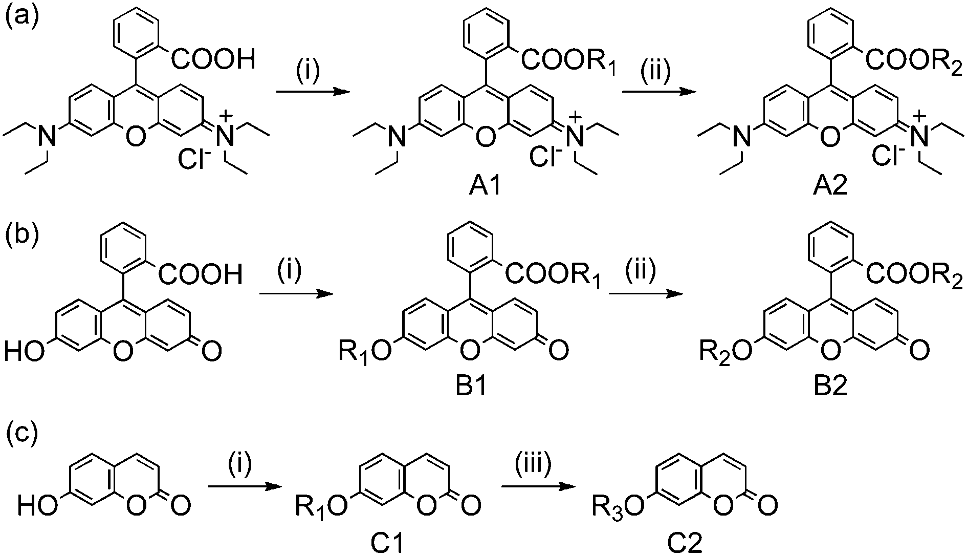 Derivatization of organic dyes for incorporation into silica matrices.