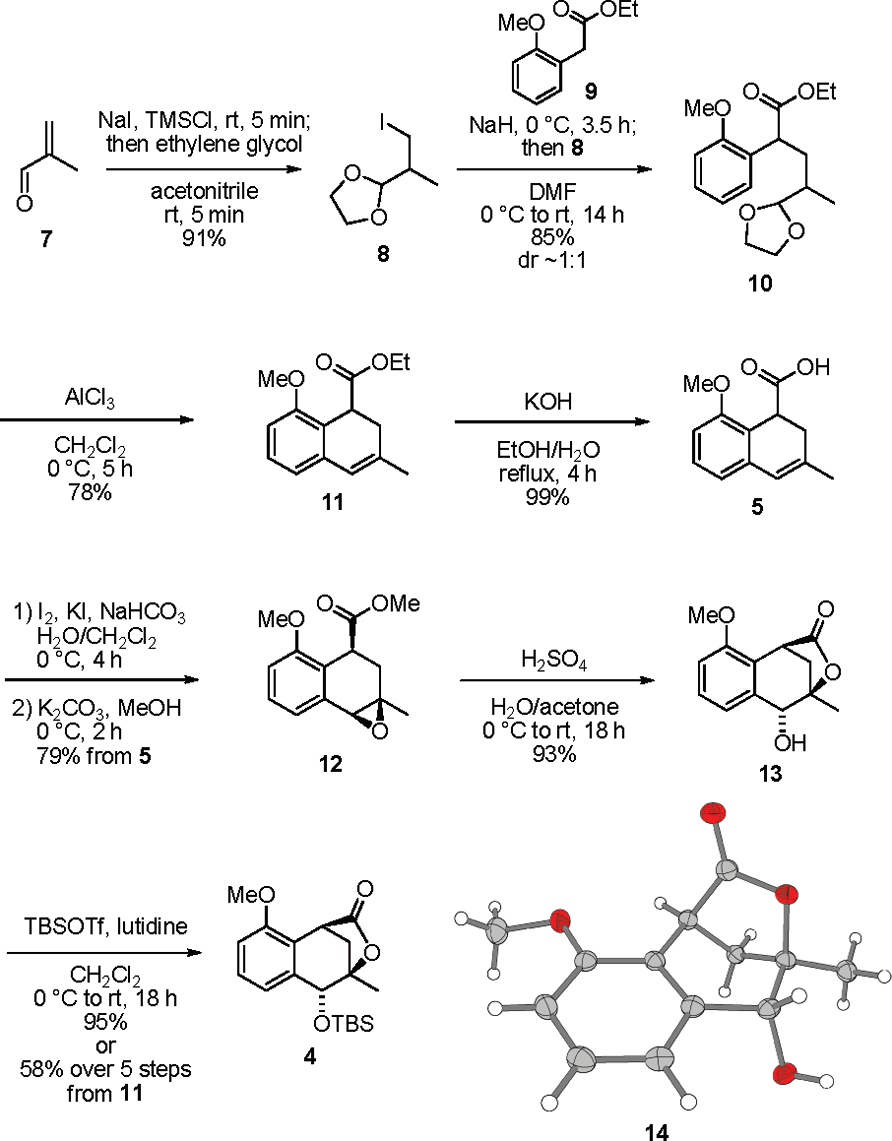 Synthesis of the Lactone 4