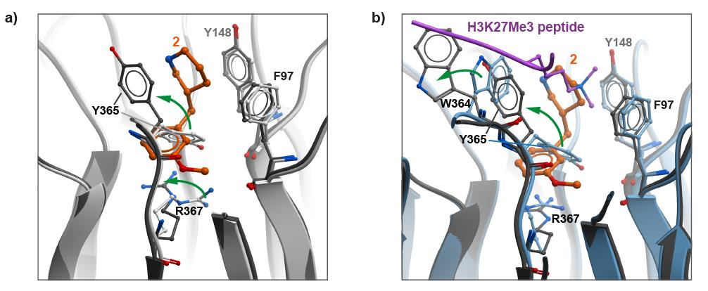 Conformational changes observed upon binding of compound 2.