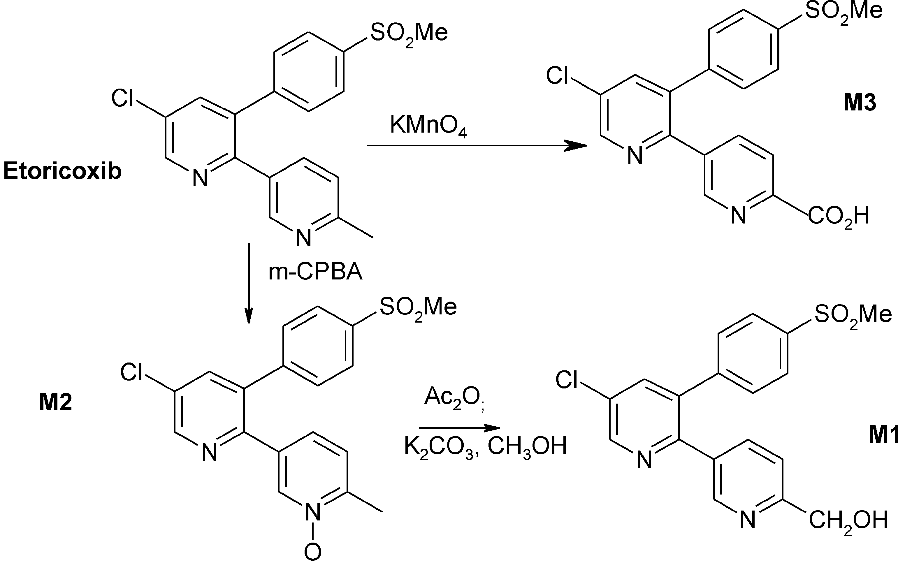 Synthesis of the oxidative metabolites of etoricoxib.