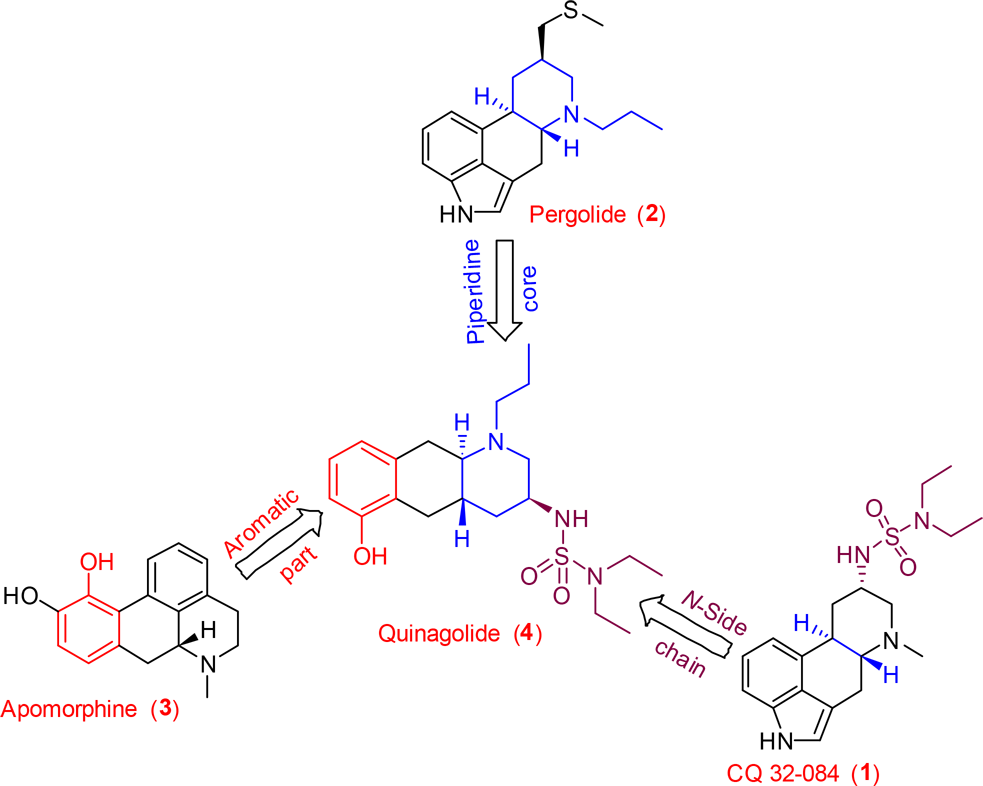 Quinolide (4) has structural features of both ergoline and apomorphine.