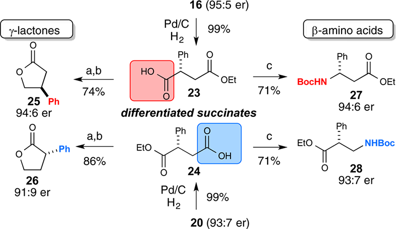 Succinate Differentiation