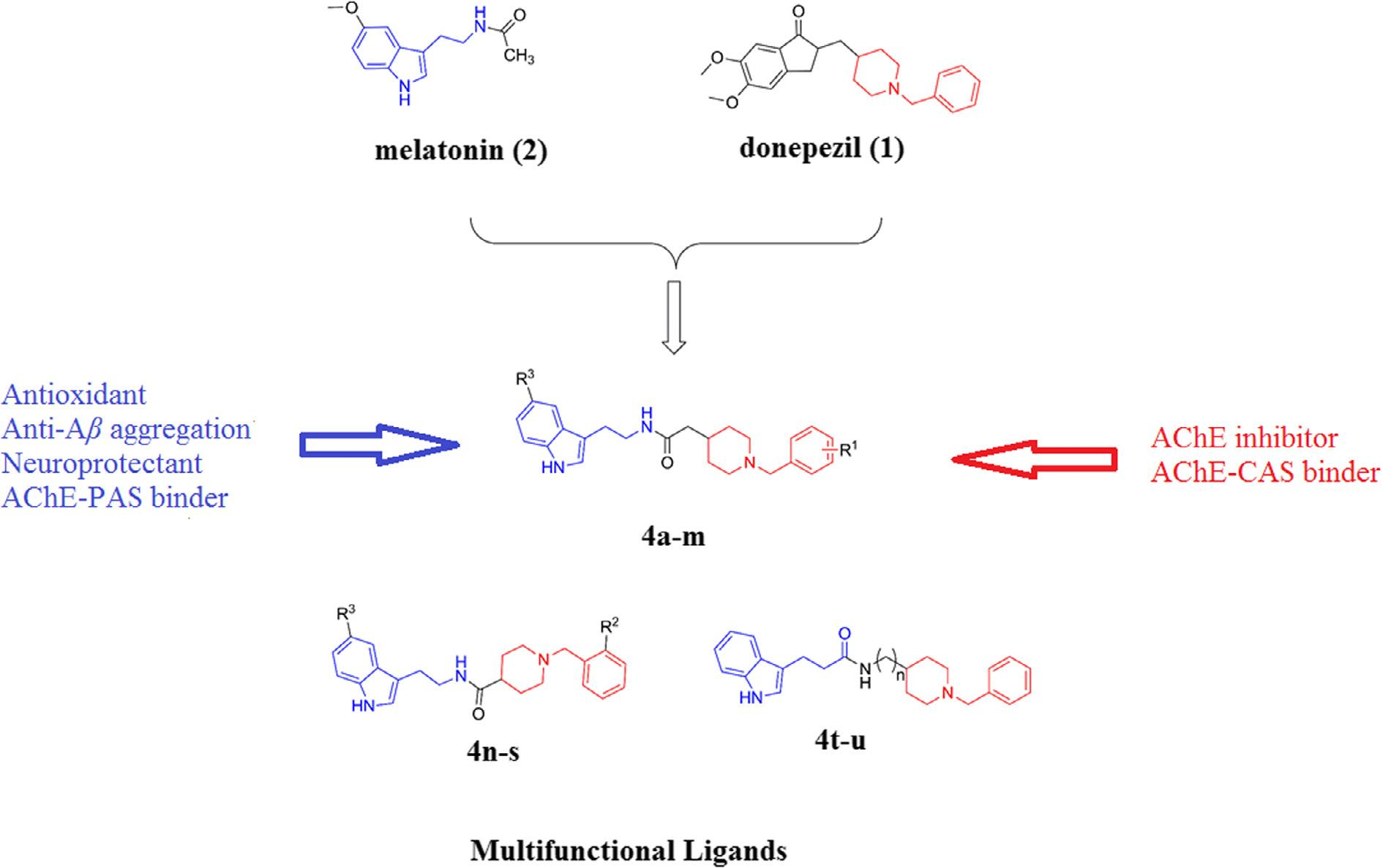 Structure of melatonin, donepezil and donepezil–melatonin hybrids.