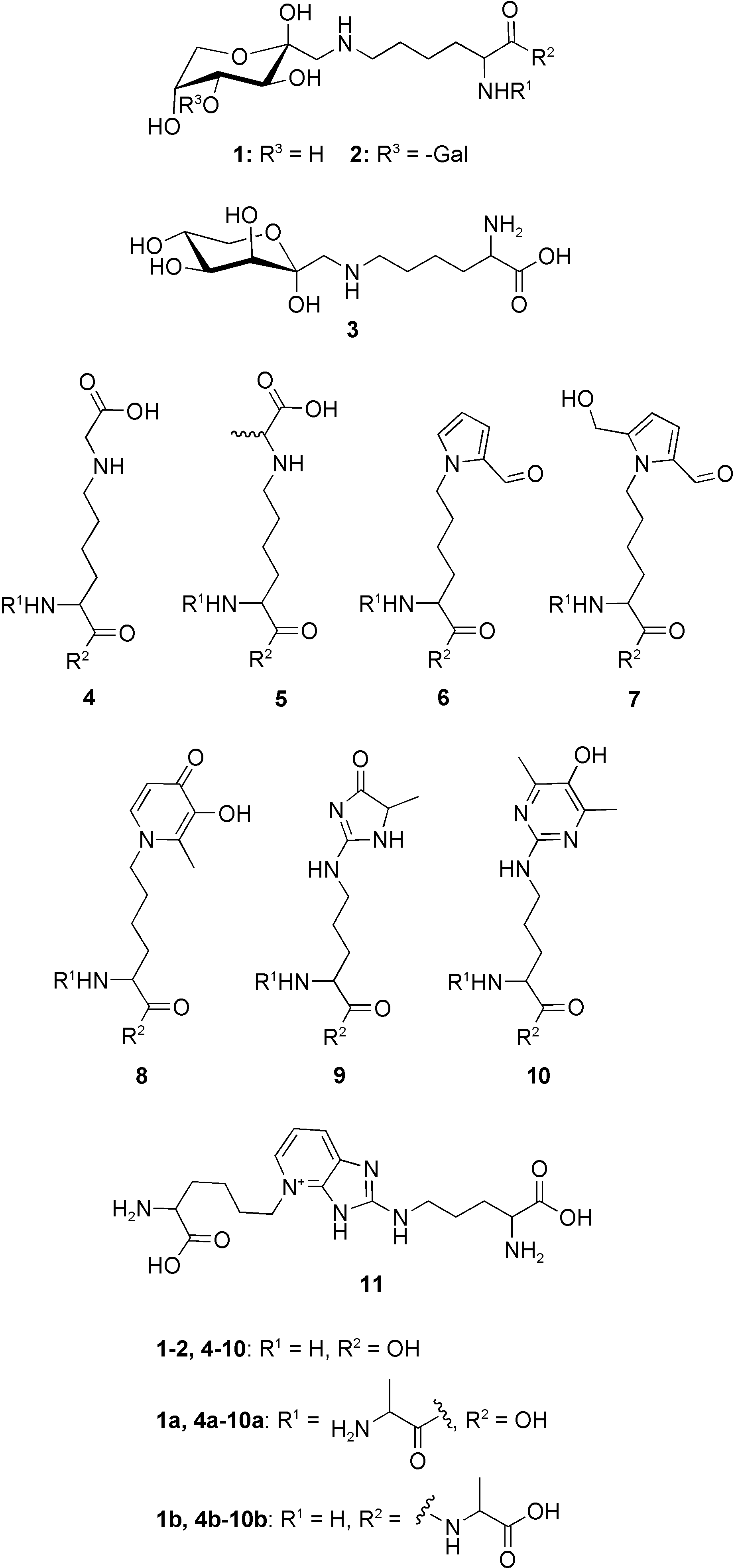 Chemical structures of the investigated Maillard reaction prod-  ucts fructoselysine (1), lactuloselysine (2), tagatoselysine (3), CML (4), CEL (5),  formyline (6), pyrraline (7), maltosine (8), MG-H1 (9), argpyrimidine (10), and  pentosidine (11).  