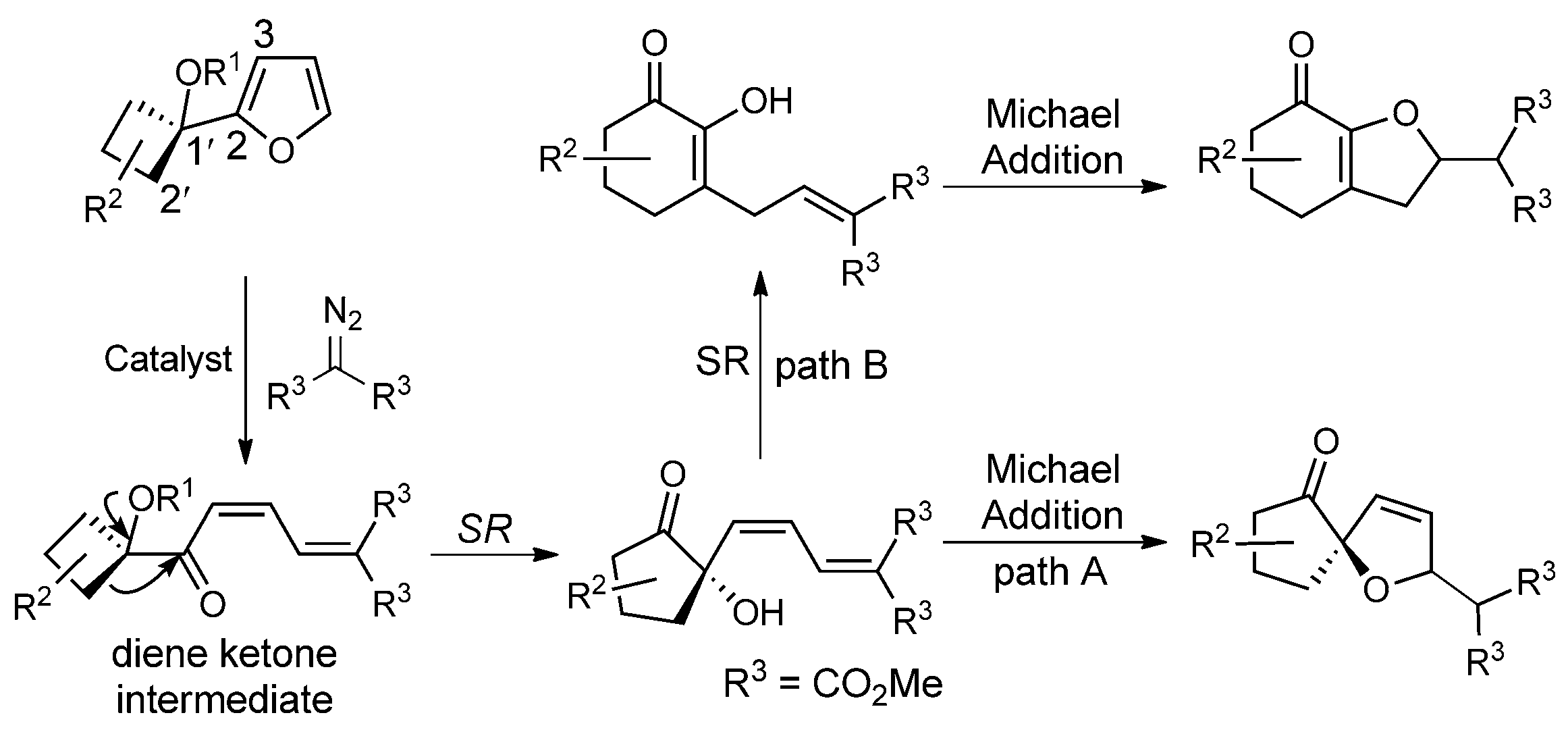 A tunable tandem reaction towards the syntheses of dihydrofuran derivatives. SR=semipinacol rearrangement.