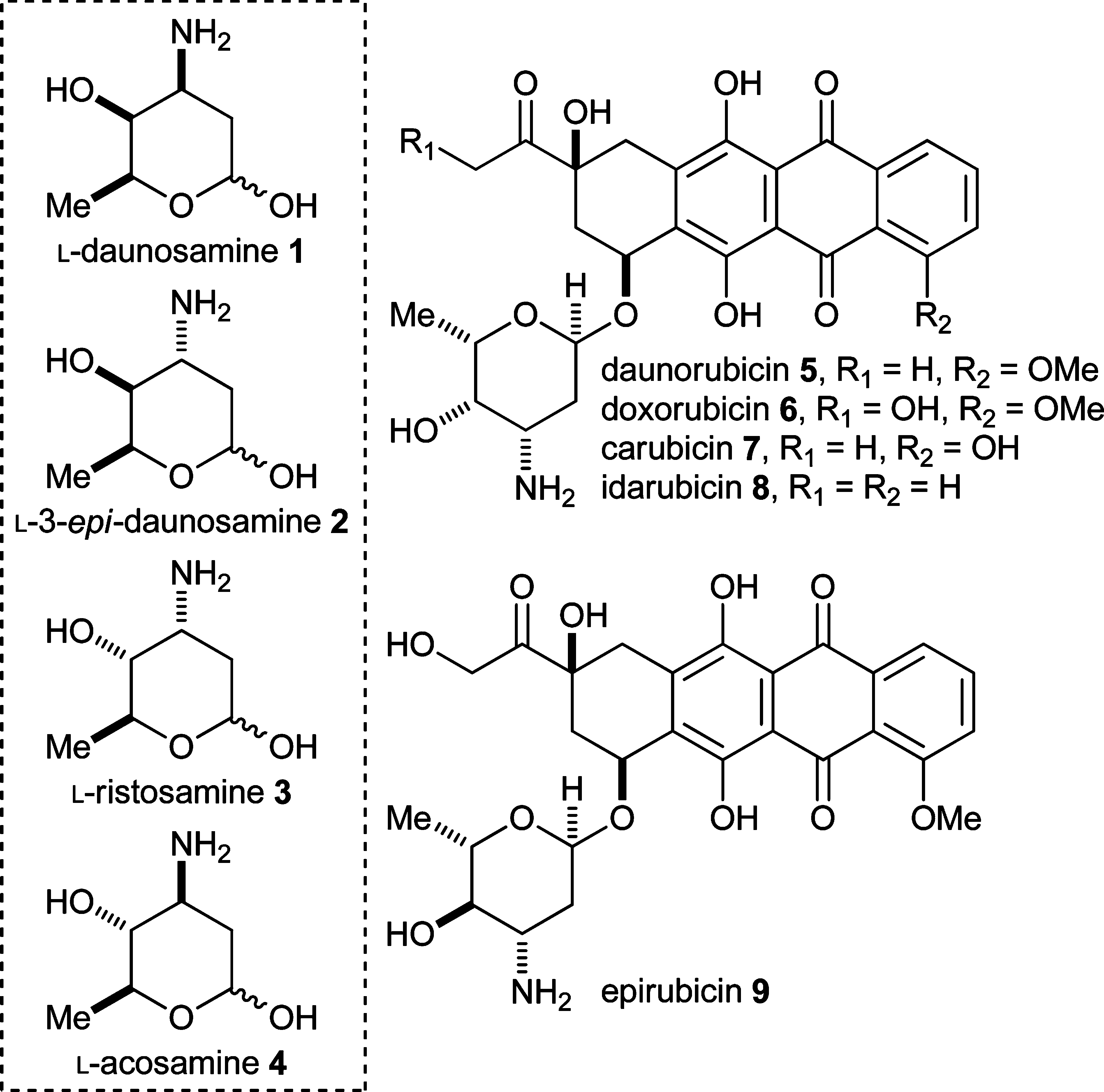Structures of L-daunosamine 1, L-3-epi-daunosamine 2, L-ristosamine 3, L-acosamine 4, and the anthracycline antibiotics daunorubicin 5, doxorubicin 6, carubicin 7, idarubicin 8, and epirubicin 9. 