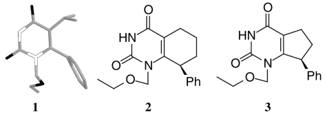 1 Crystal structure of MKC-442 when bound to RT. 2 Structure of cyclohexane-annelated MKC-442 analogue. 3 Structure of cyclopentane-annelated MKC-442 analogue.