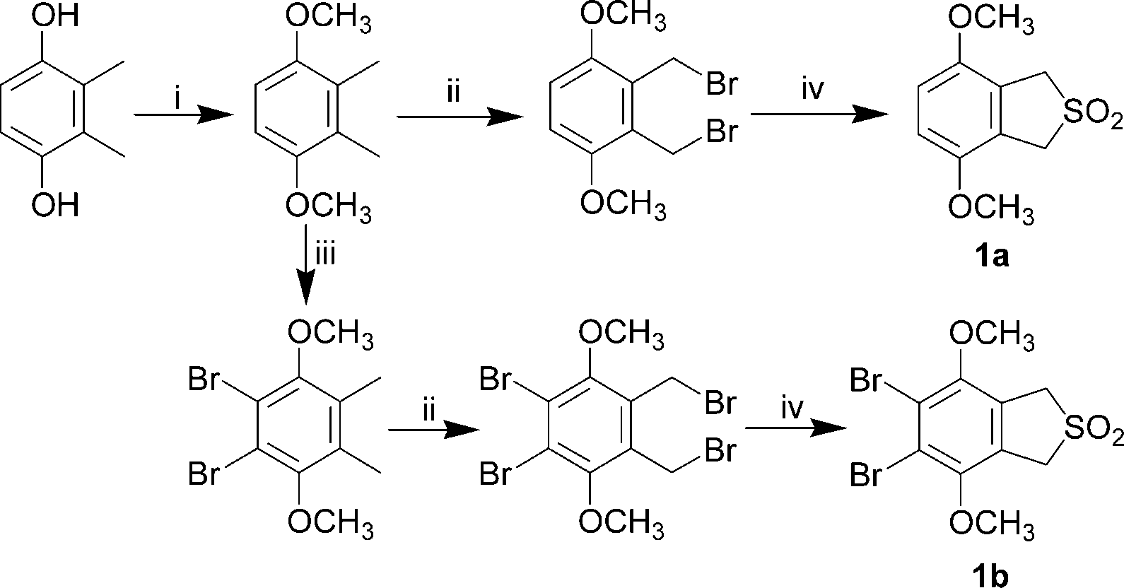 i) dimethyl sulfate, K2CO3, acetone, reflux; ii) NBS, AIBN, CCl4, reflux; iii) Br2, CHCl3, room temperature; iv) 1) Na2SO3·9H2O, ethanol, reflux; 2) Oxone, grade I alumina, CHCl3, reflux