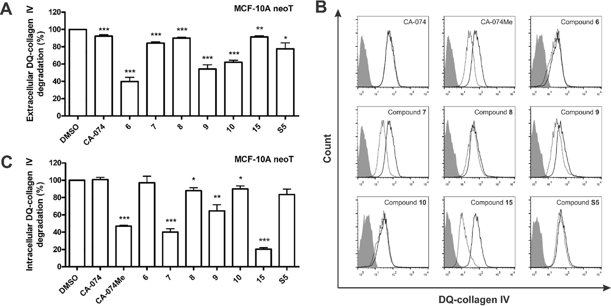 Nitroxoline derivatives inhibit extracellular and intracellular DQ-collagen IV degradation.