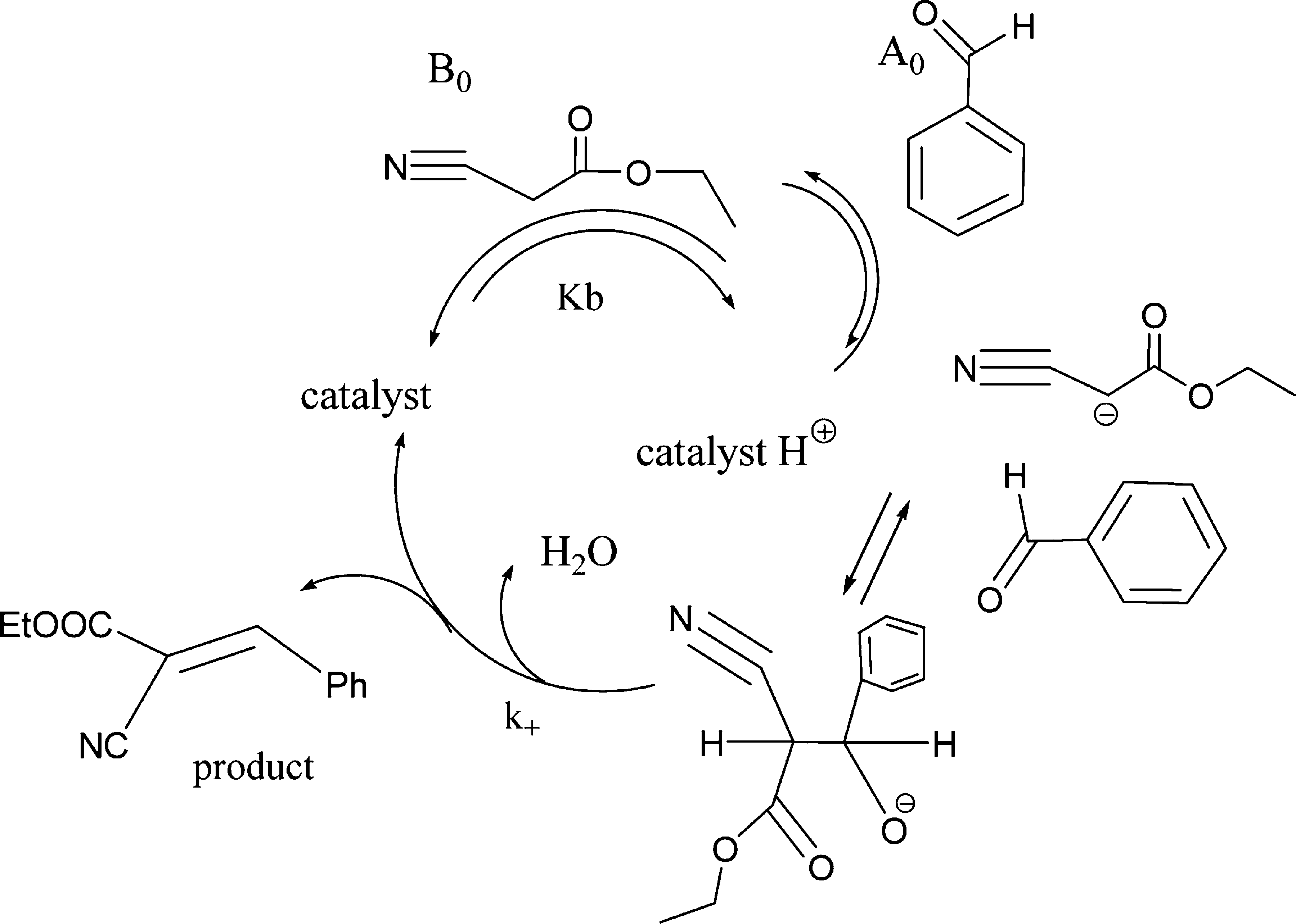 Proposed Kinetic Mechanism DNA/RNA-Salts Appears To Progress via the Shown Catalytic Cycle
