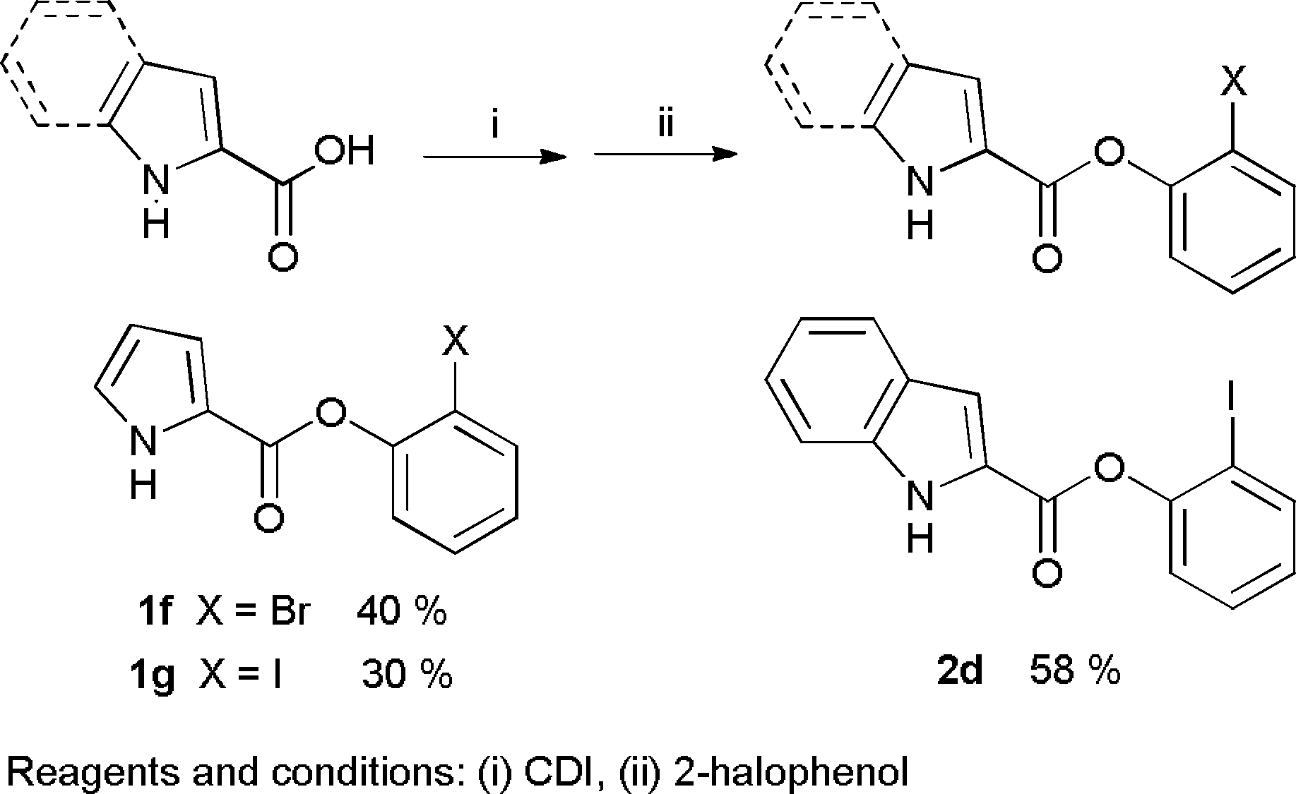 Synthesis of pyrrole and indole ester derivatives.