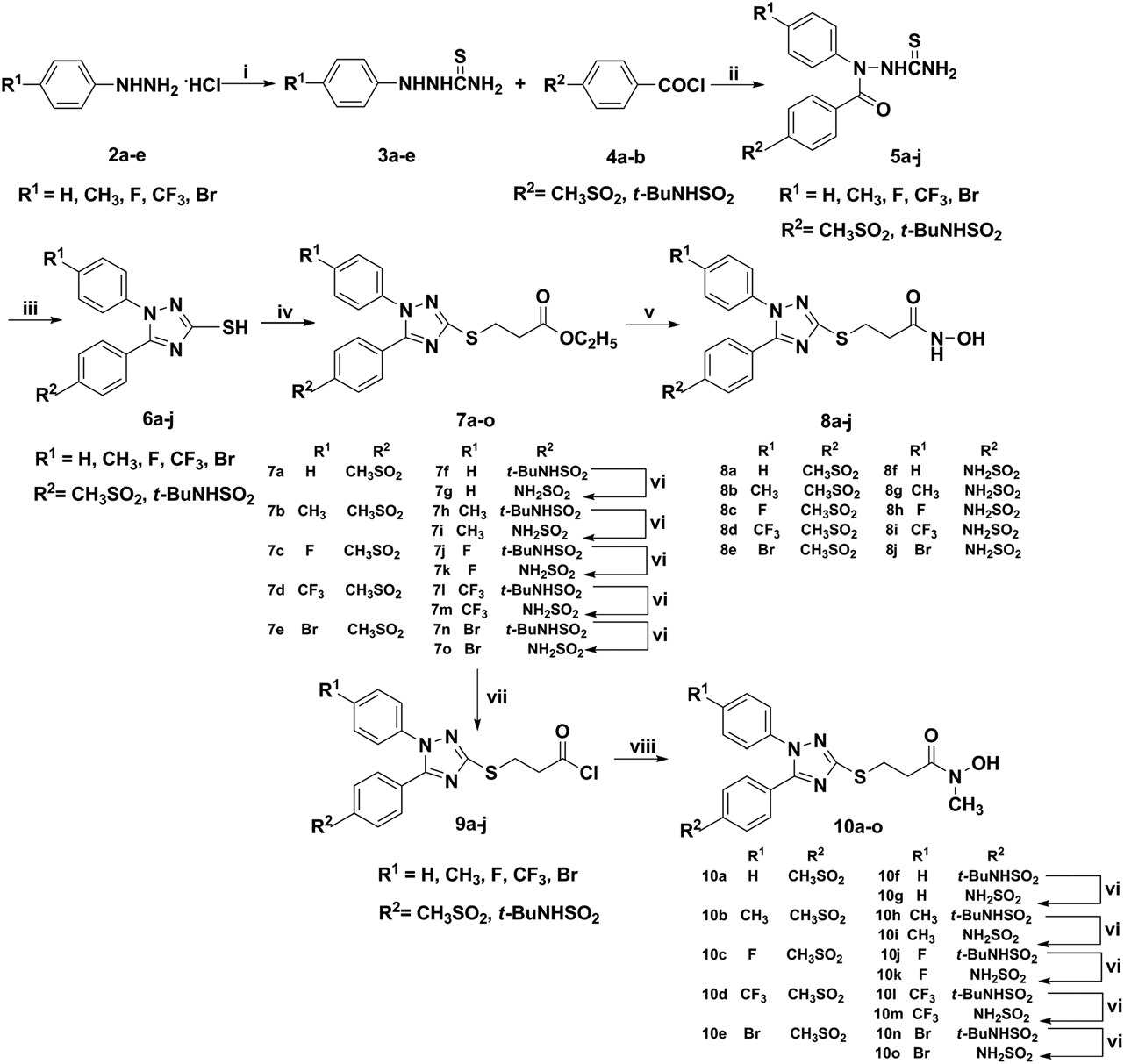 Synthesis of hydroxamic acid derivatives of 1,3,5-substituted-1,2,4-triazoles.