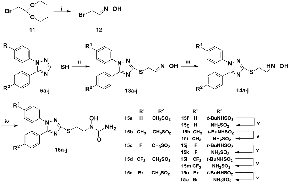 Synthesis of N-hydroxyurea derivatives of 1,3,5-substituted-1,2,4-triazoles. 